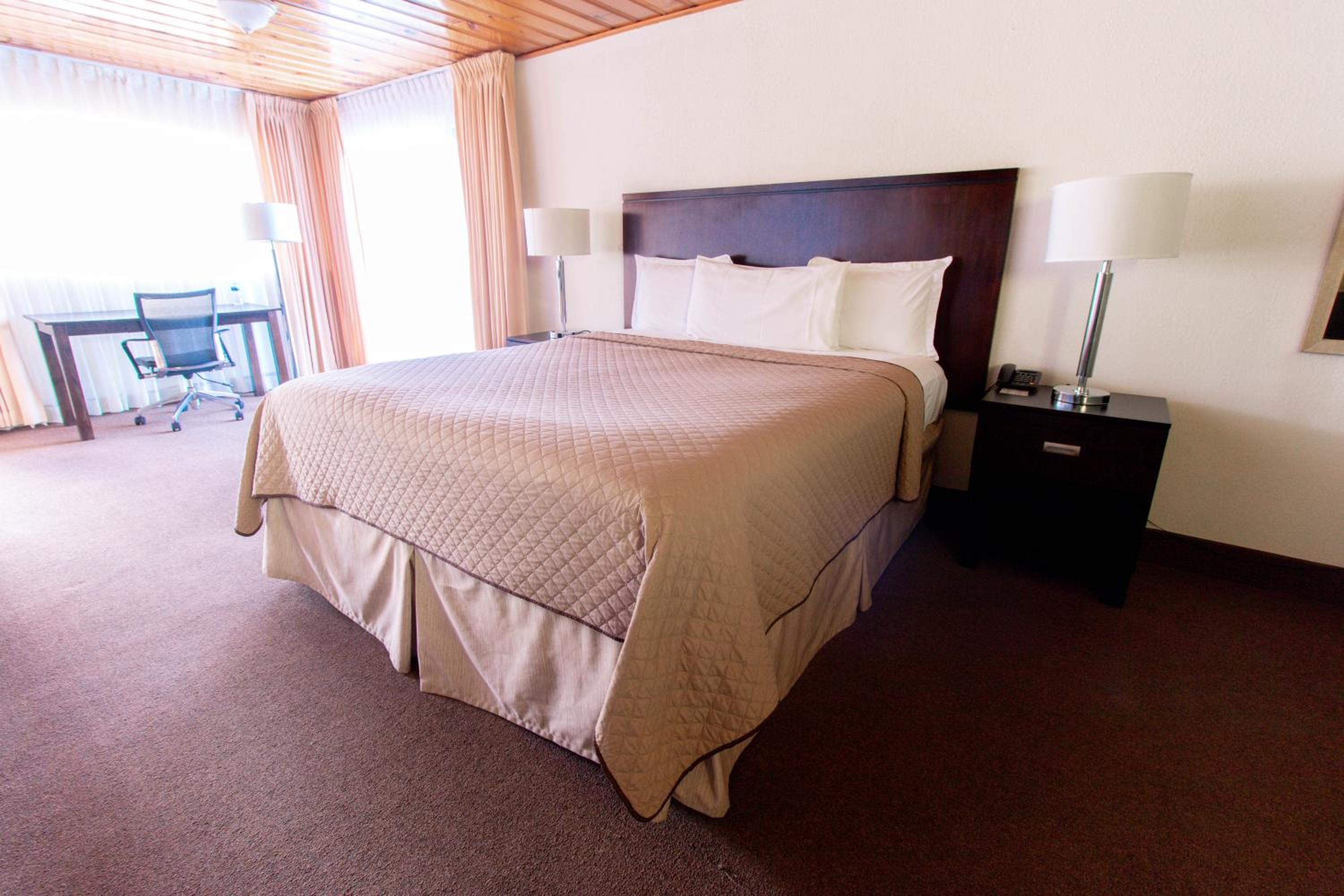 Standard Suite