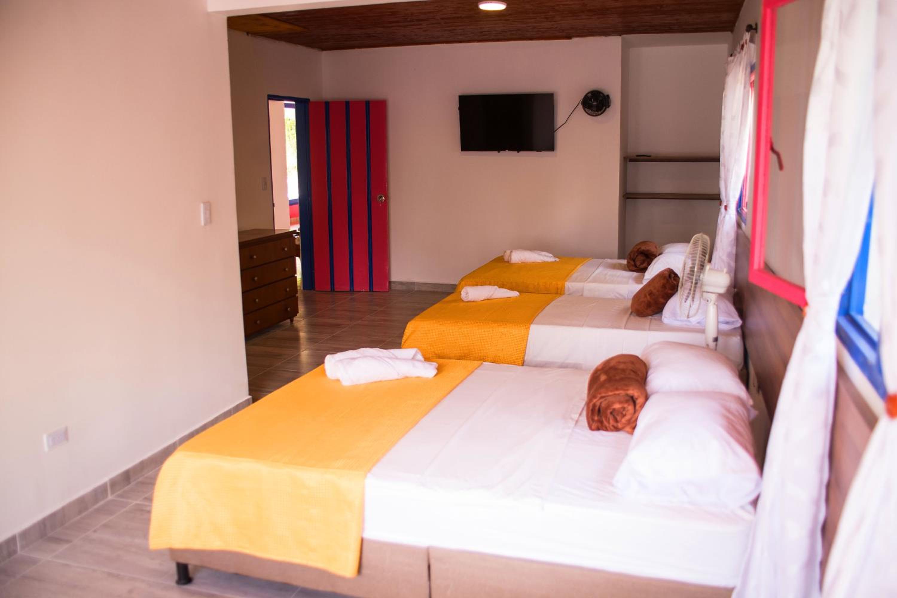 Double Room photo 3