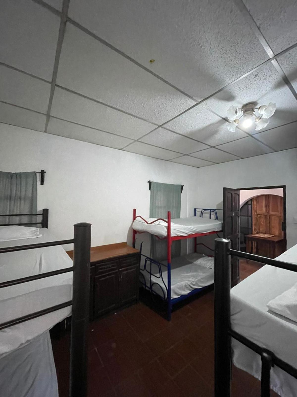 Single Bed in Mixed Dormitory Room photo 3