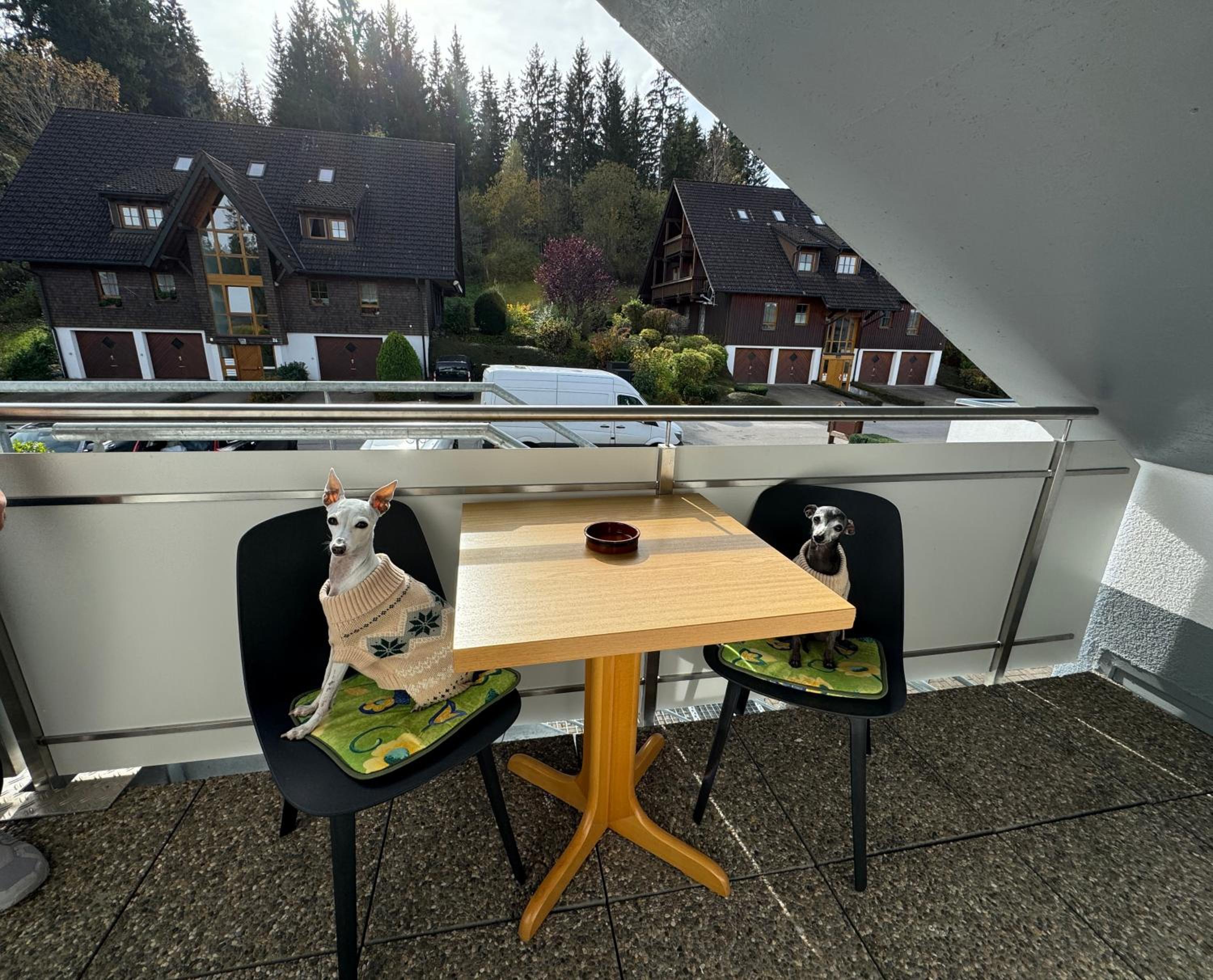 Two-Bedroom Apartment with City View photo 2