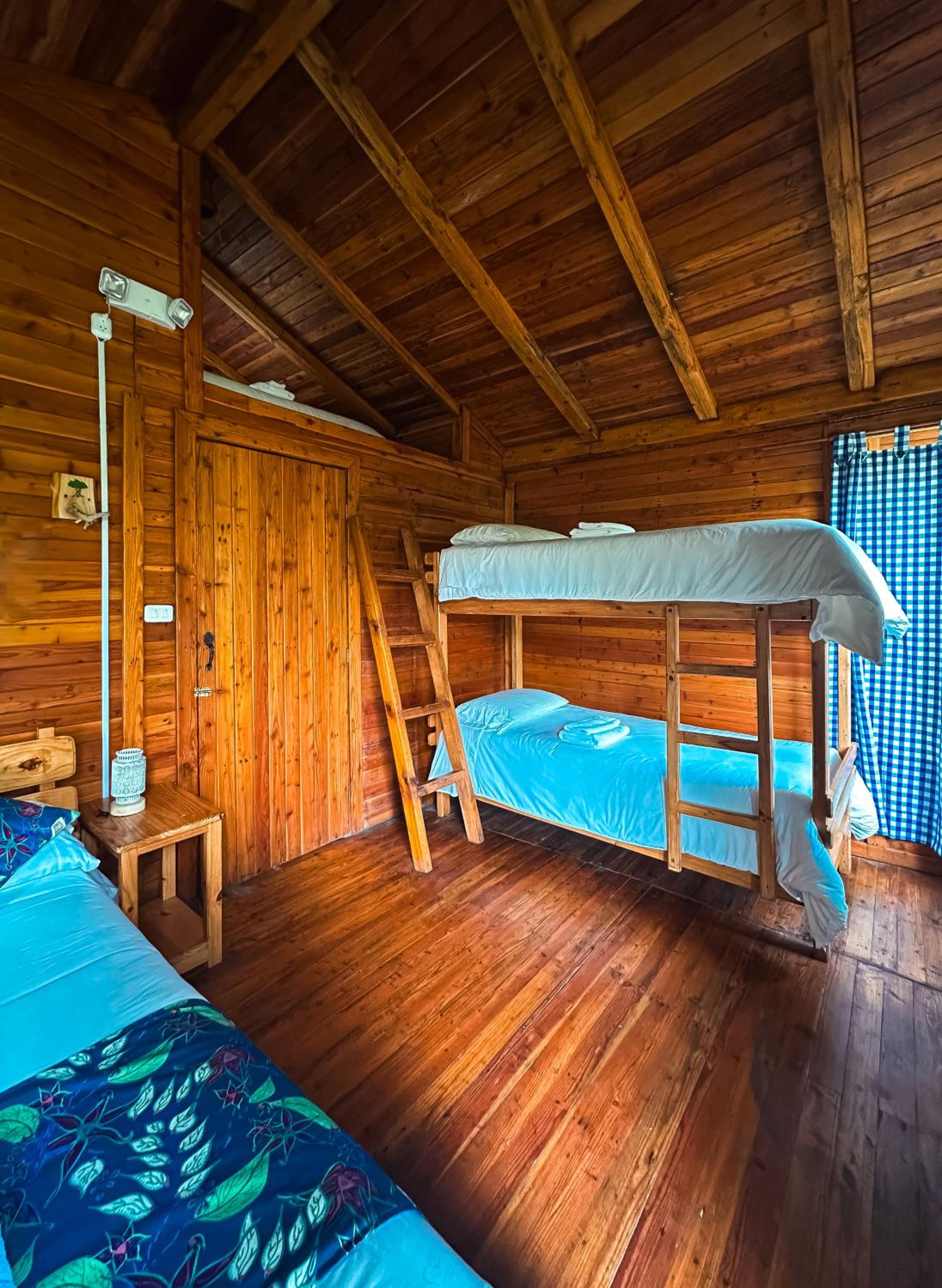 Family Bungalow photo 3