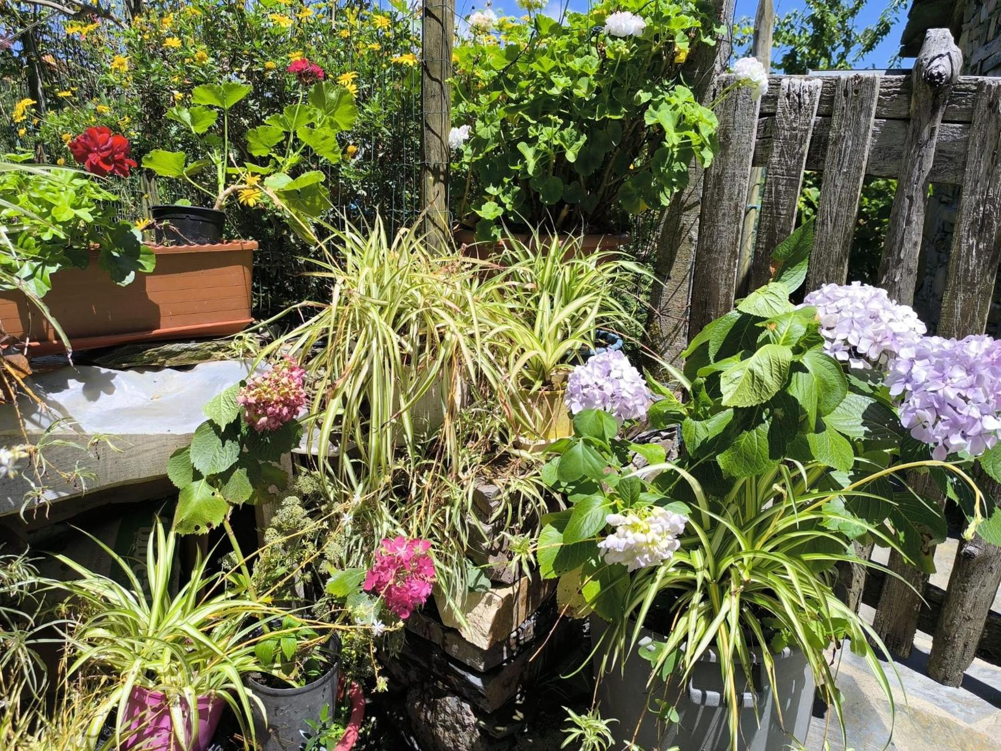Vacation Home - Photo 12