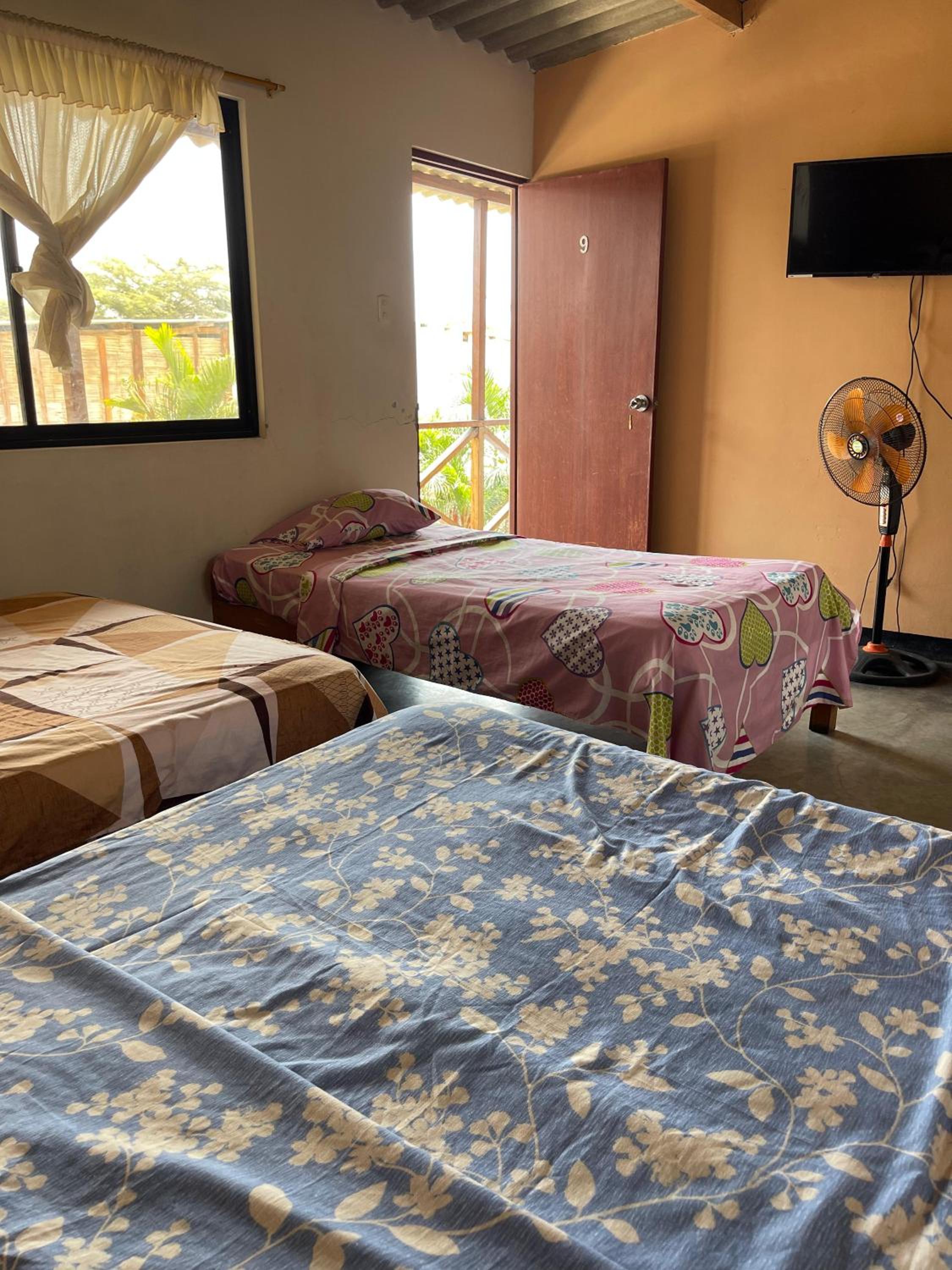 Triple Room photo 2