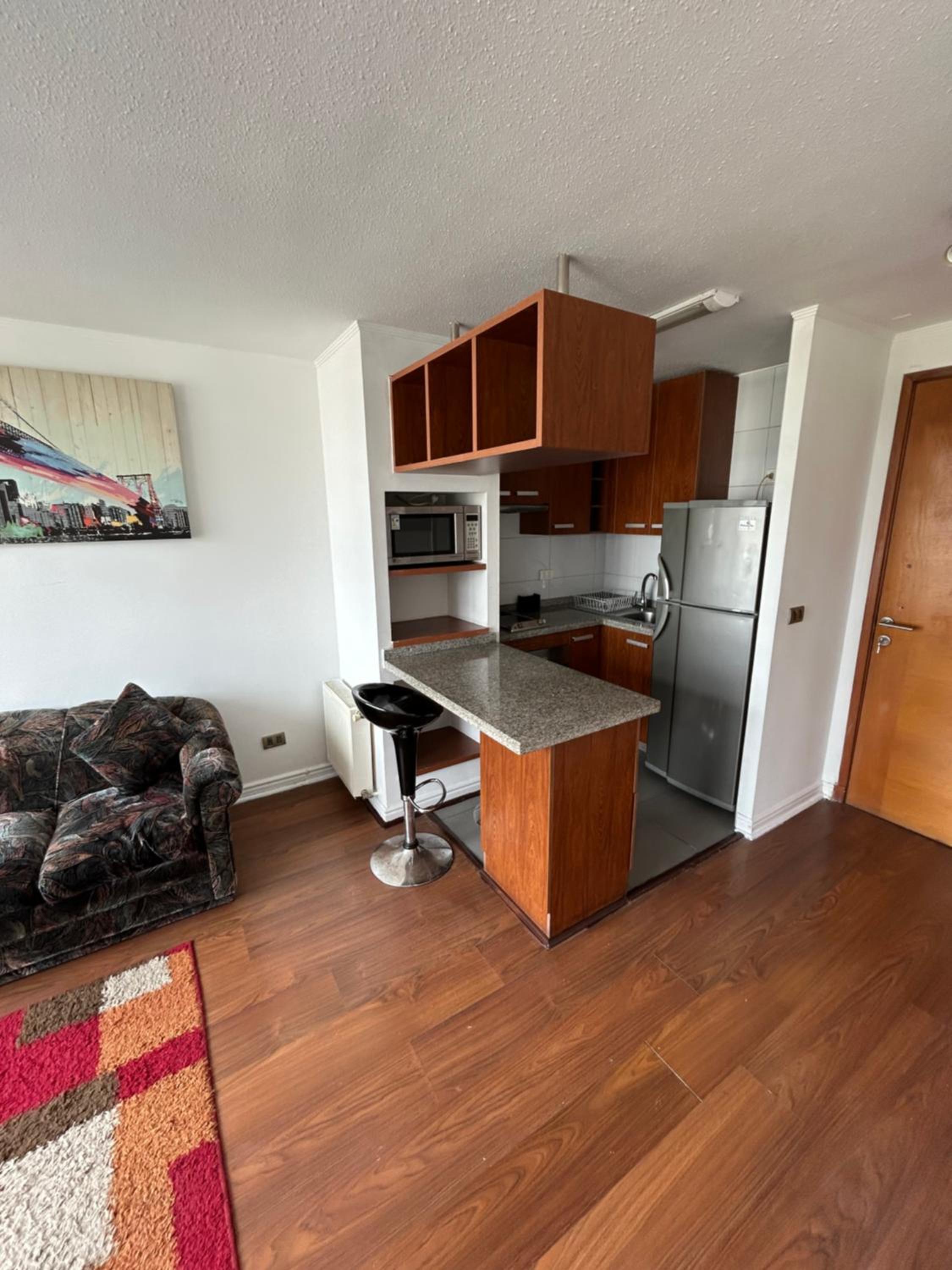 One-Bedroom Apartment photo 3