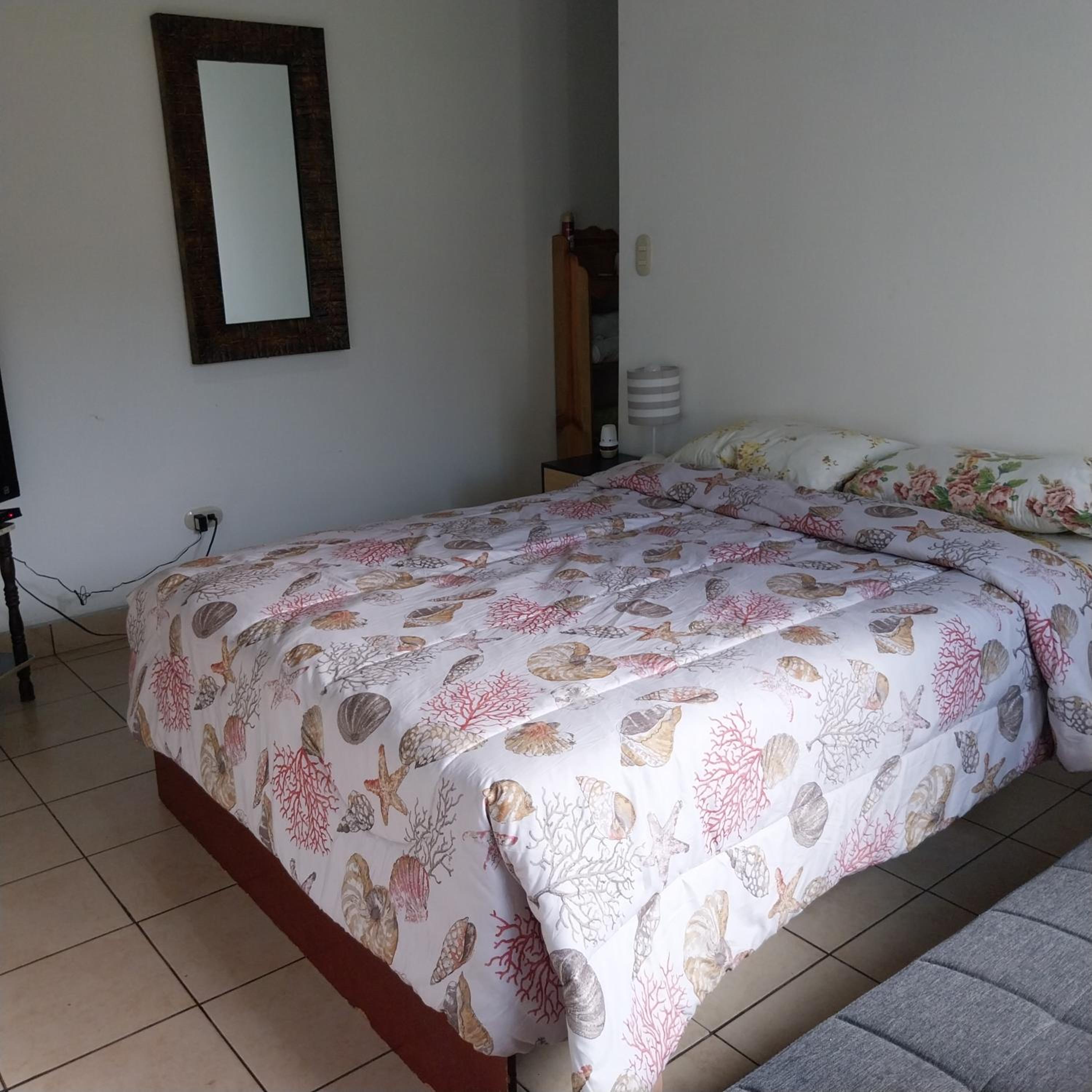One-Bedroom House photo 2