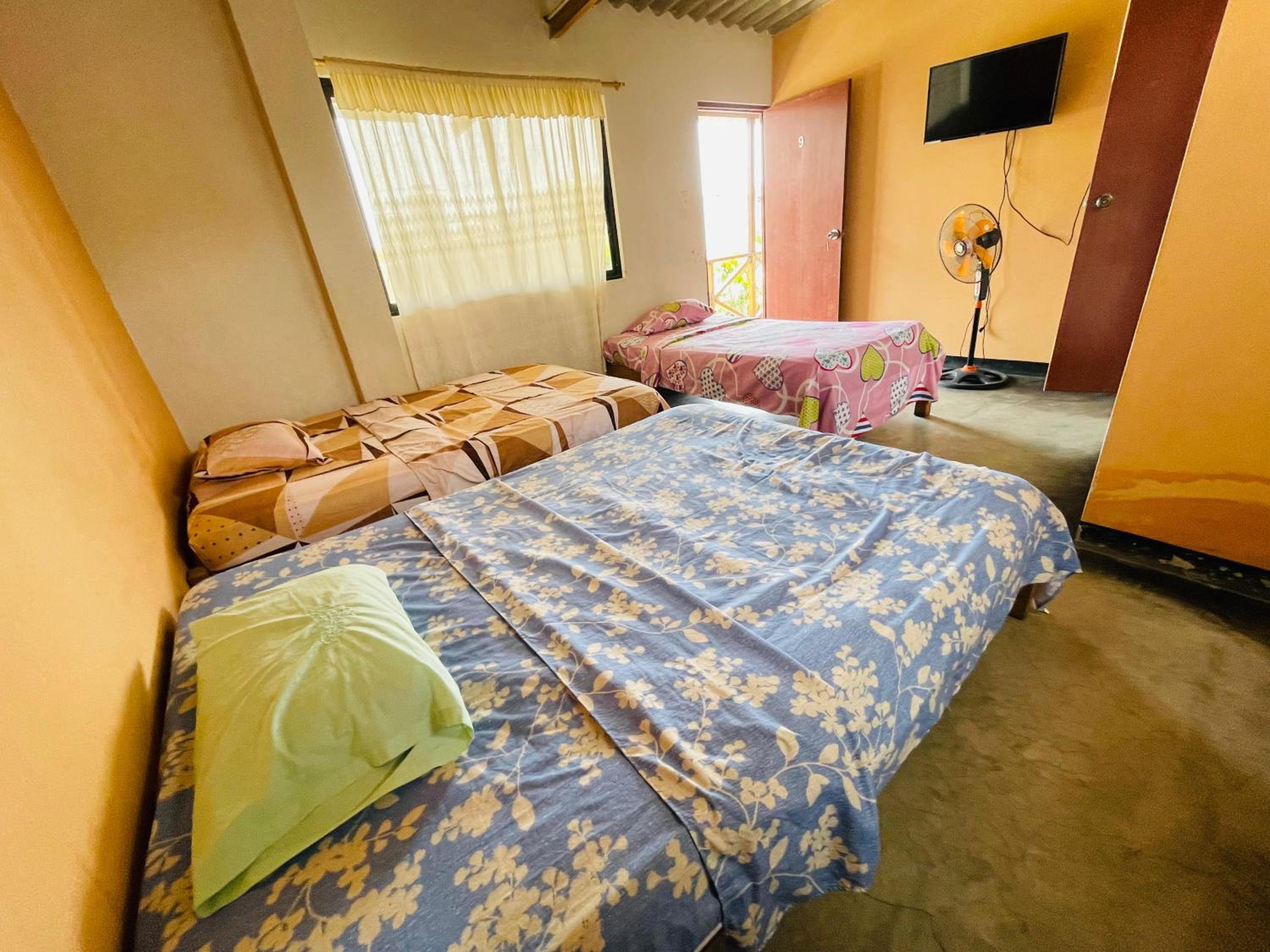 Triple Room photo 3