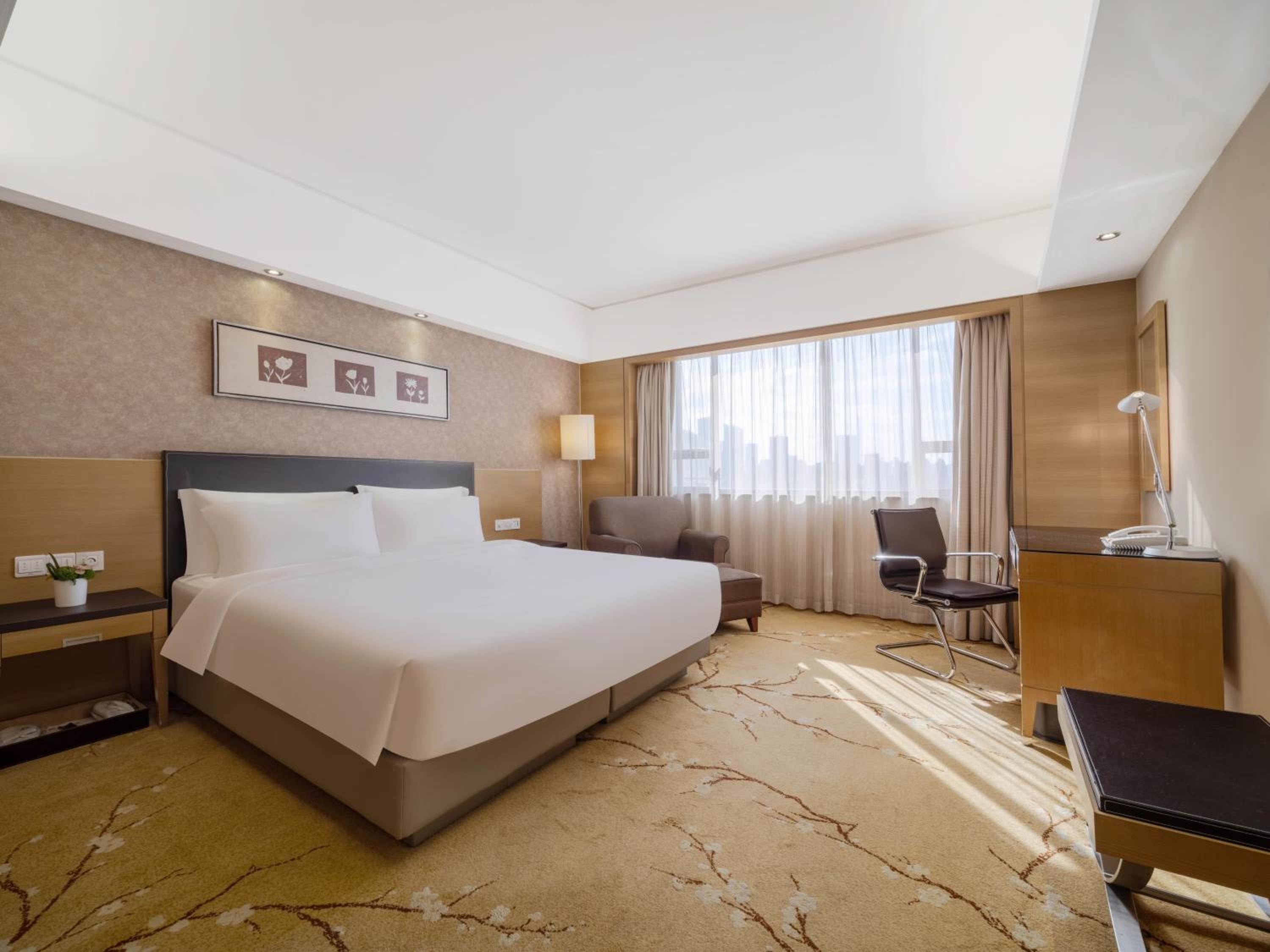 Executive Suite - Photo 1