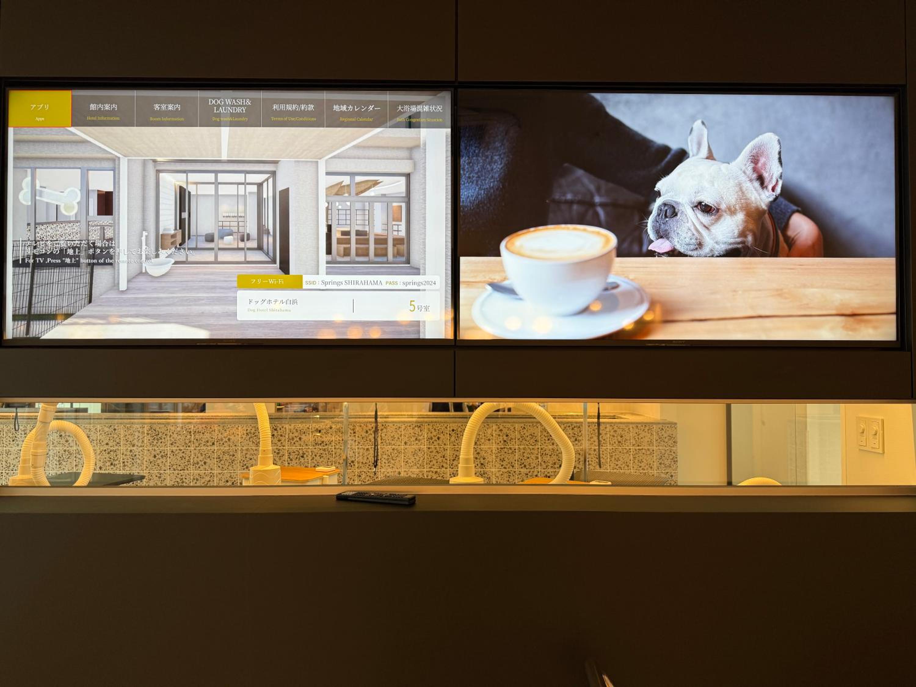 Dog Hotel Shirahama ドッグホテル シラハマ, Foto 44
