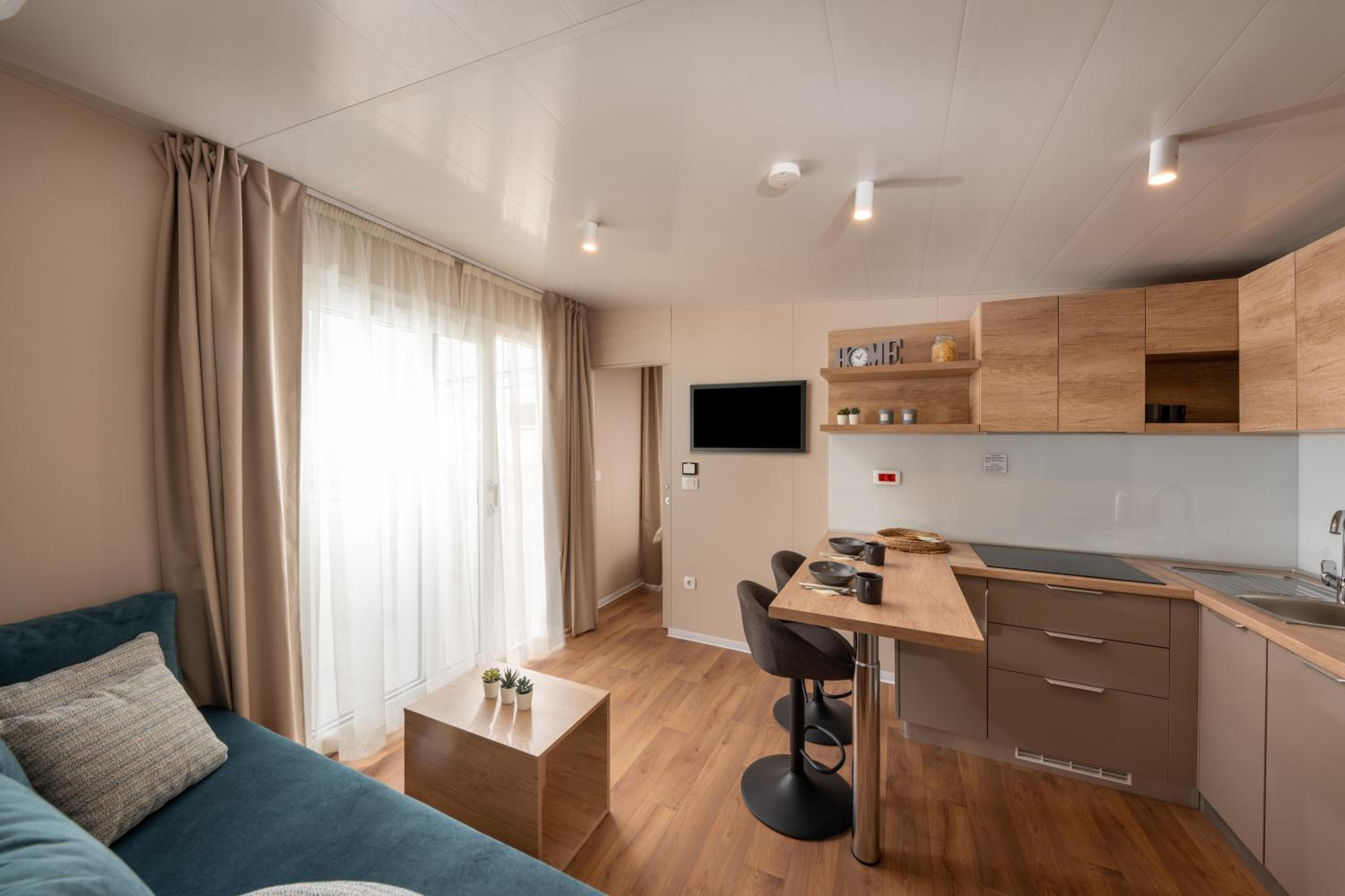 Mobile Home photo 2