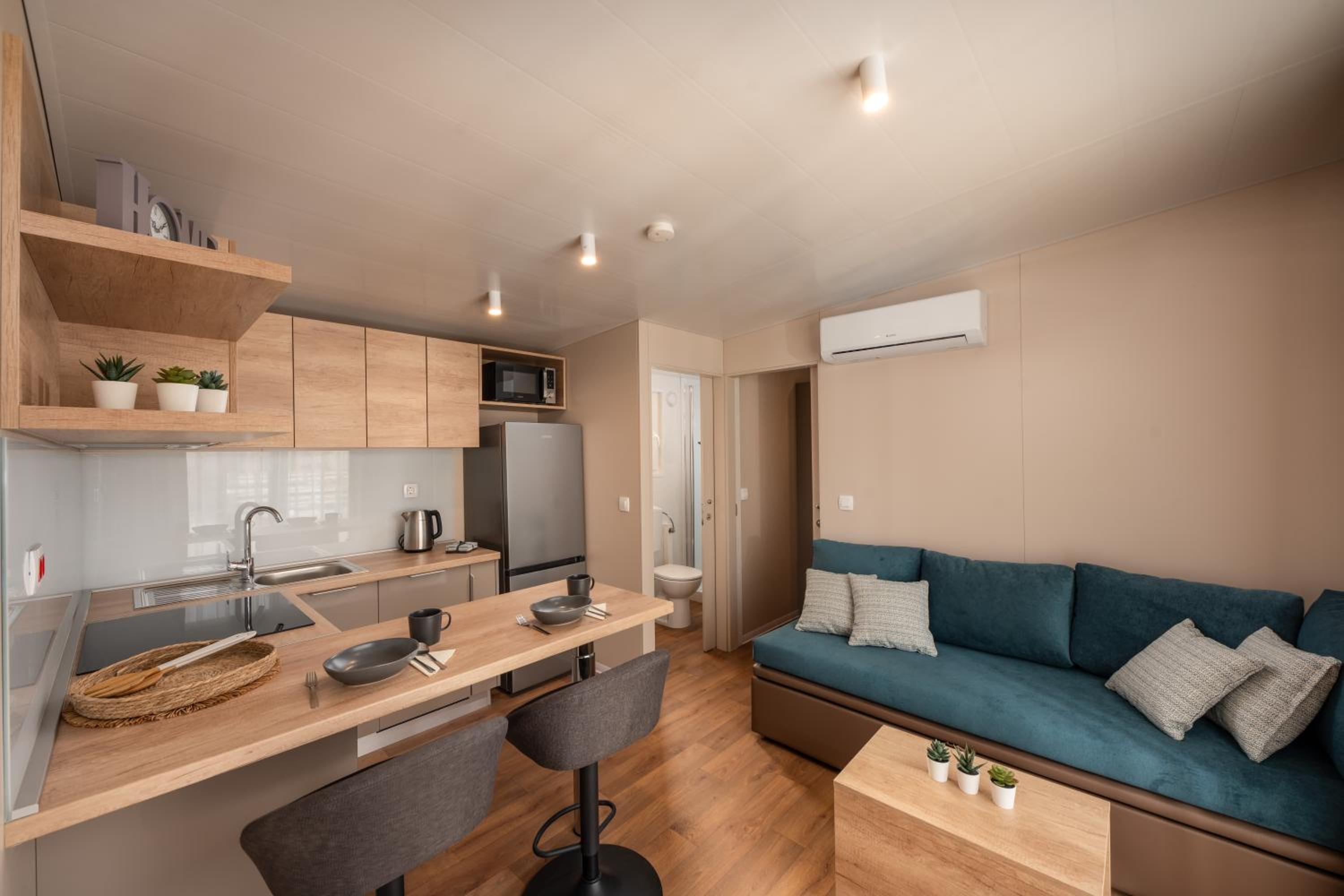 Mobile Home photo 1