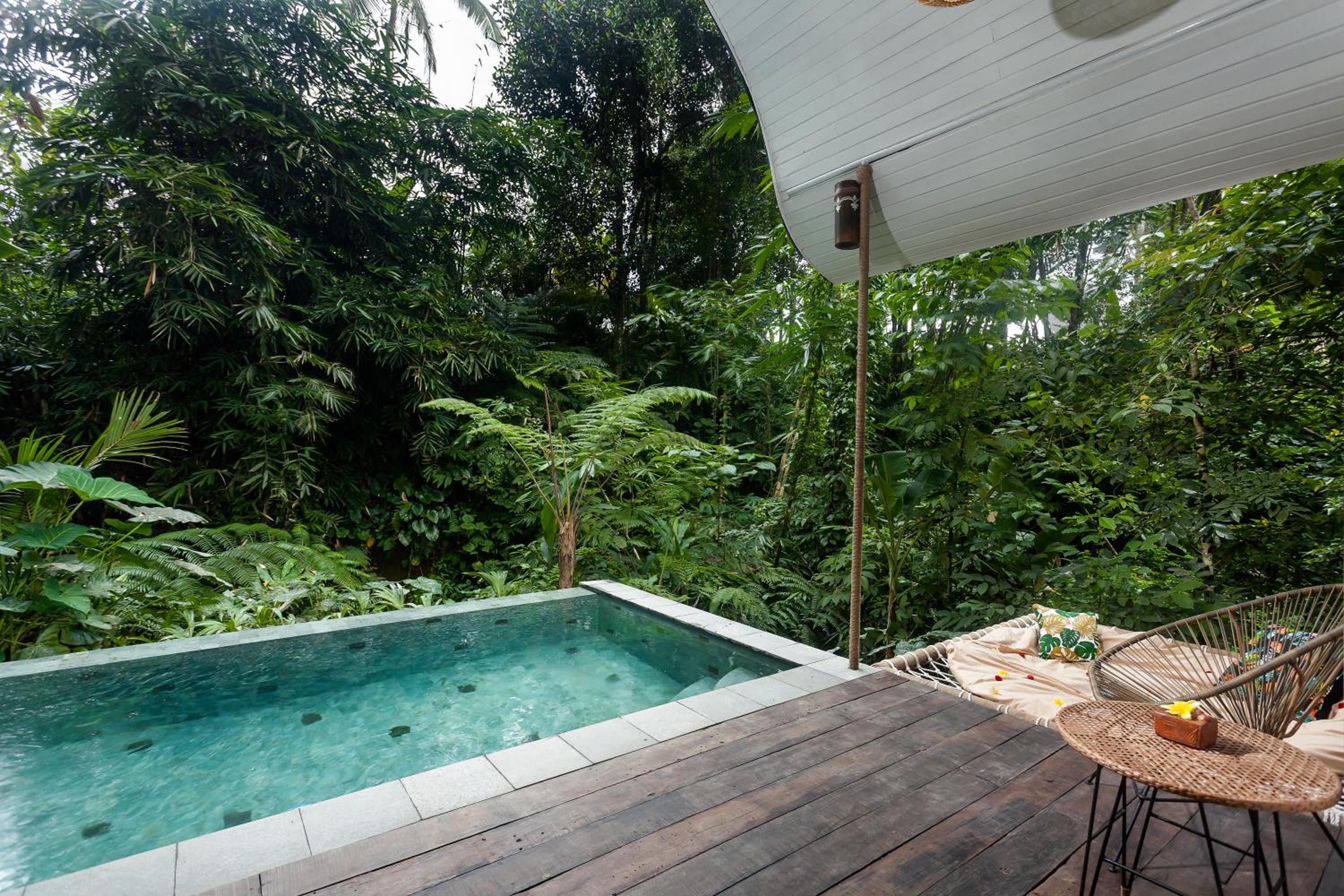 One-Bedroom Villa With Hammock - Photo 8