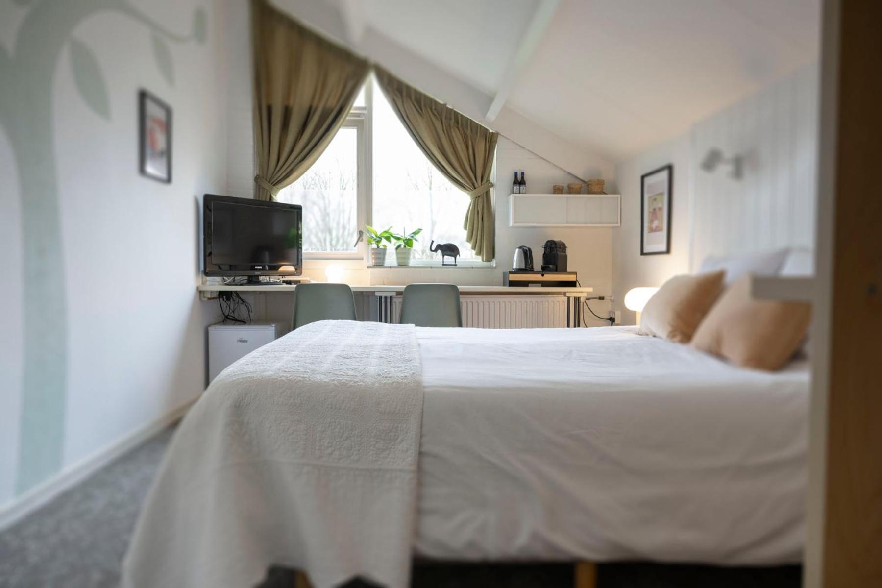 Deluxe Queen Room - Photo 1