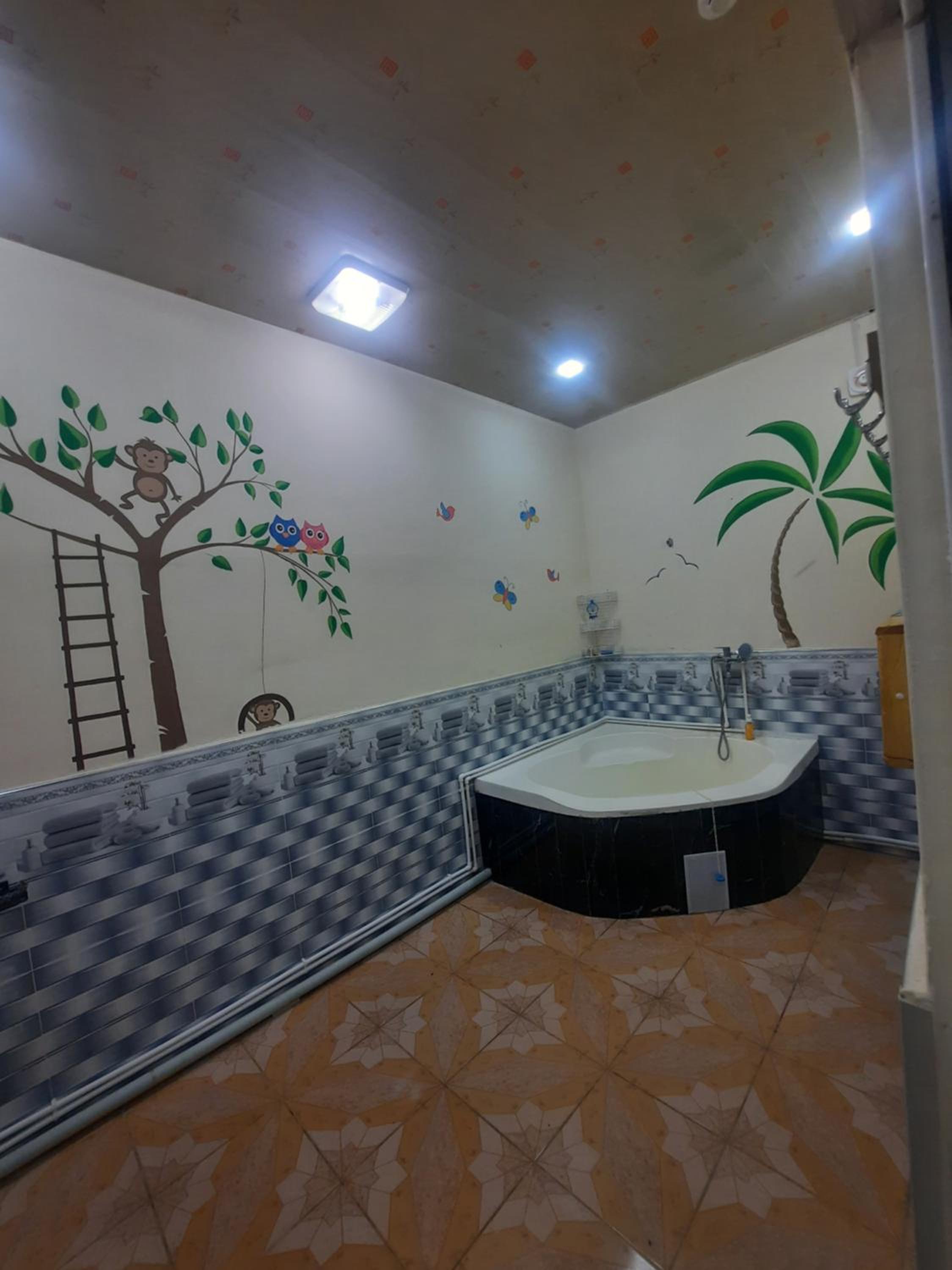 Bunk Bed In Mixed Dormitory Room photo 1