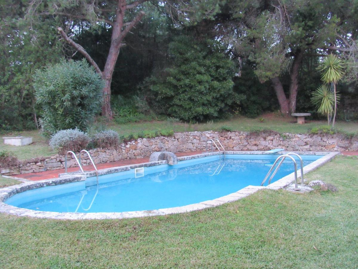 Studio with Garden View photo 3