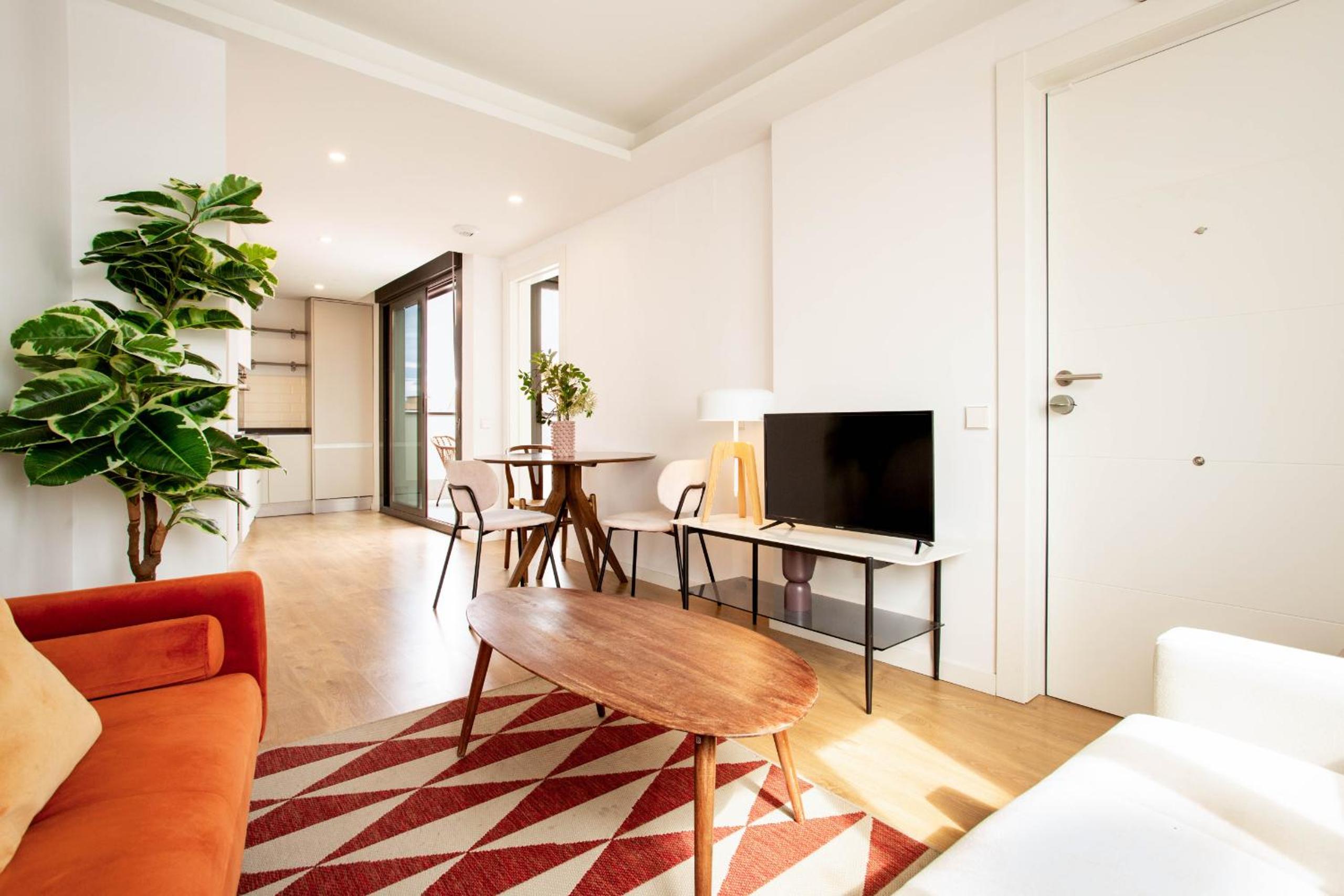 One Bedroom with Terrace  photo 3