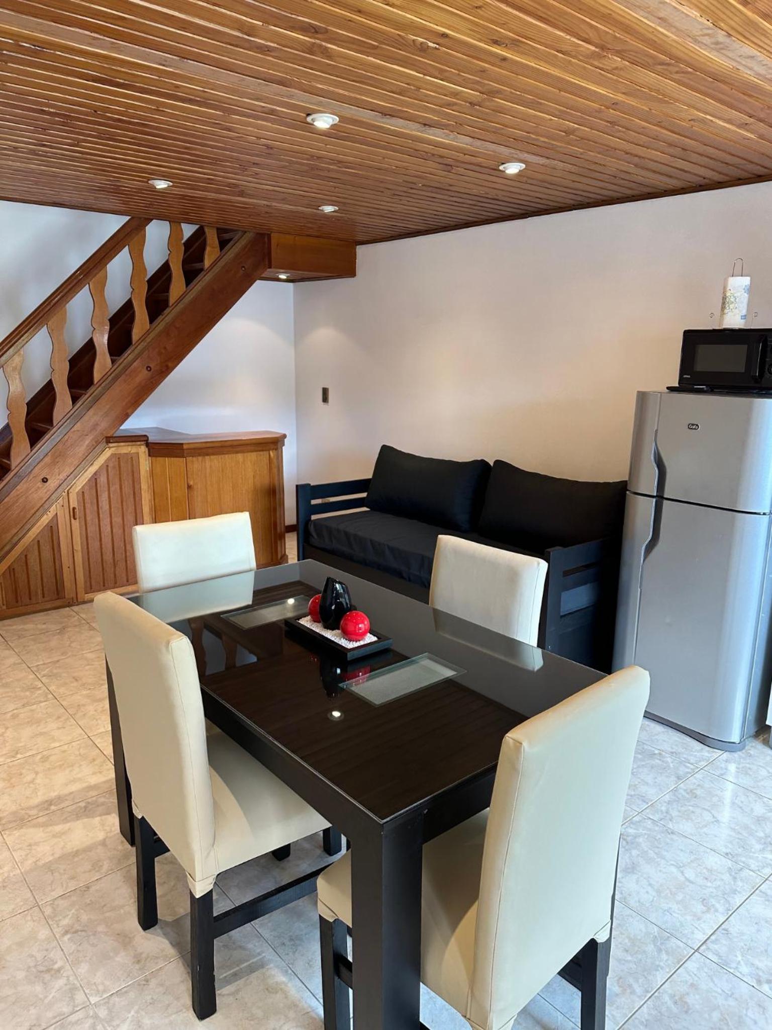 Duplex Apartment photo 3