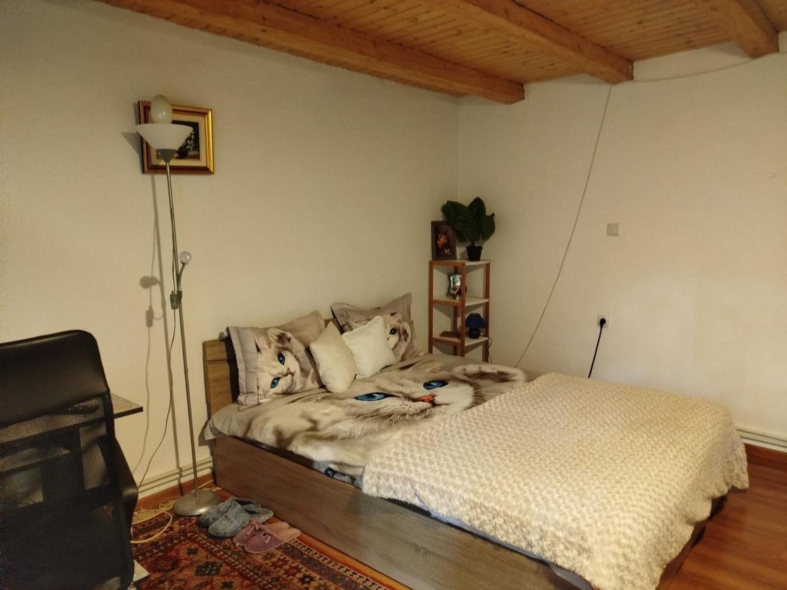 One-Bedroom Chalet photo 1