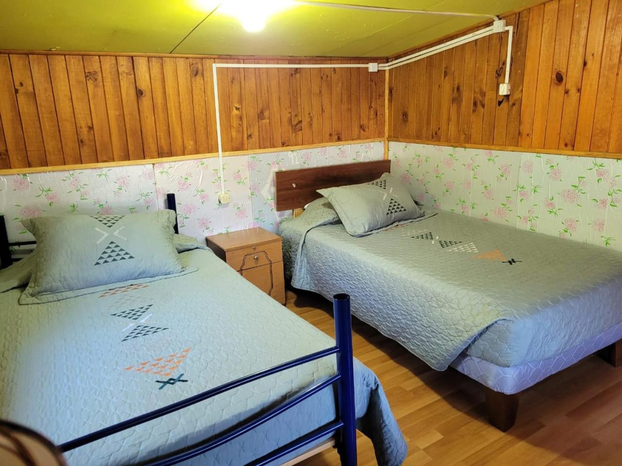 Single Bed In Mixed Dormitory Room photo 1