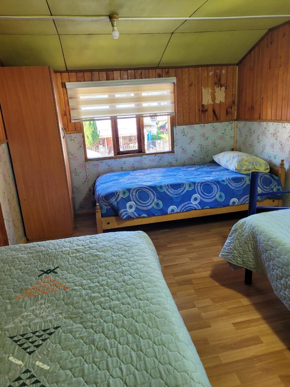 Single Bed In Mixed Dormitory Room photo 2