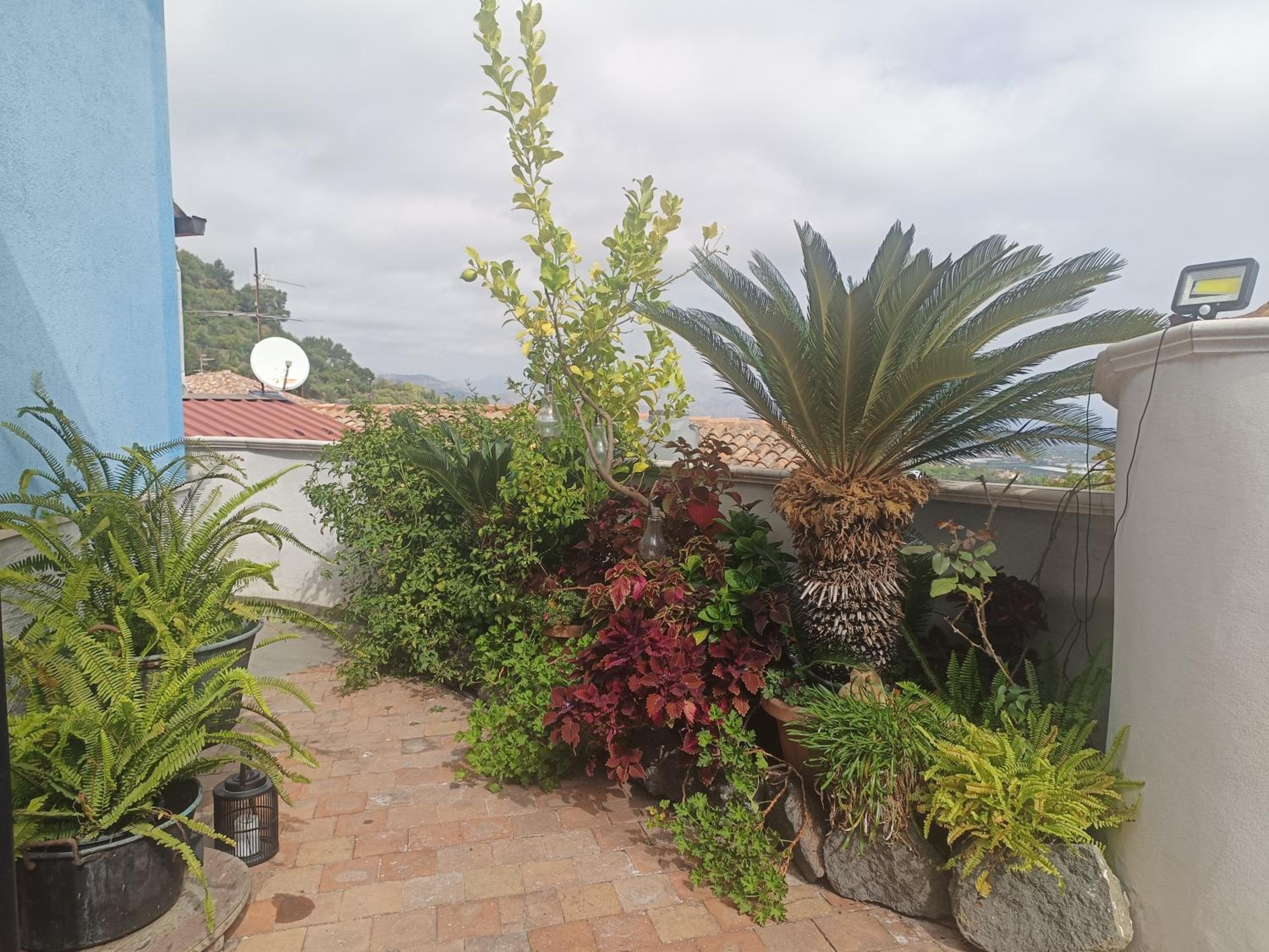 Apartment with Terrace photo 2