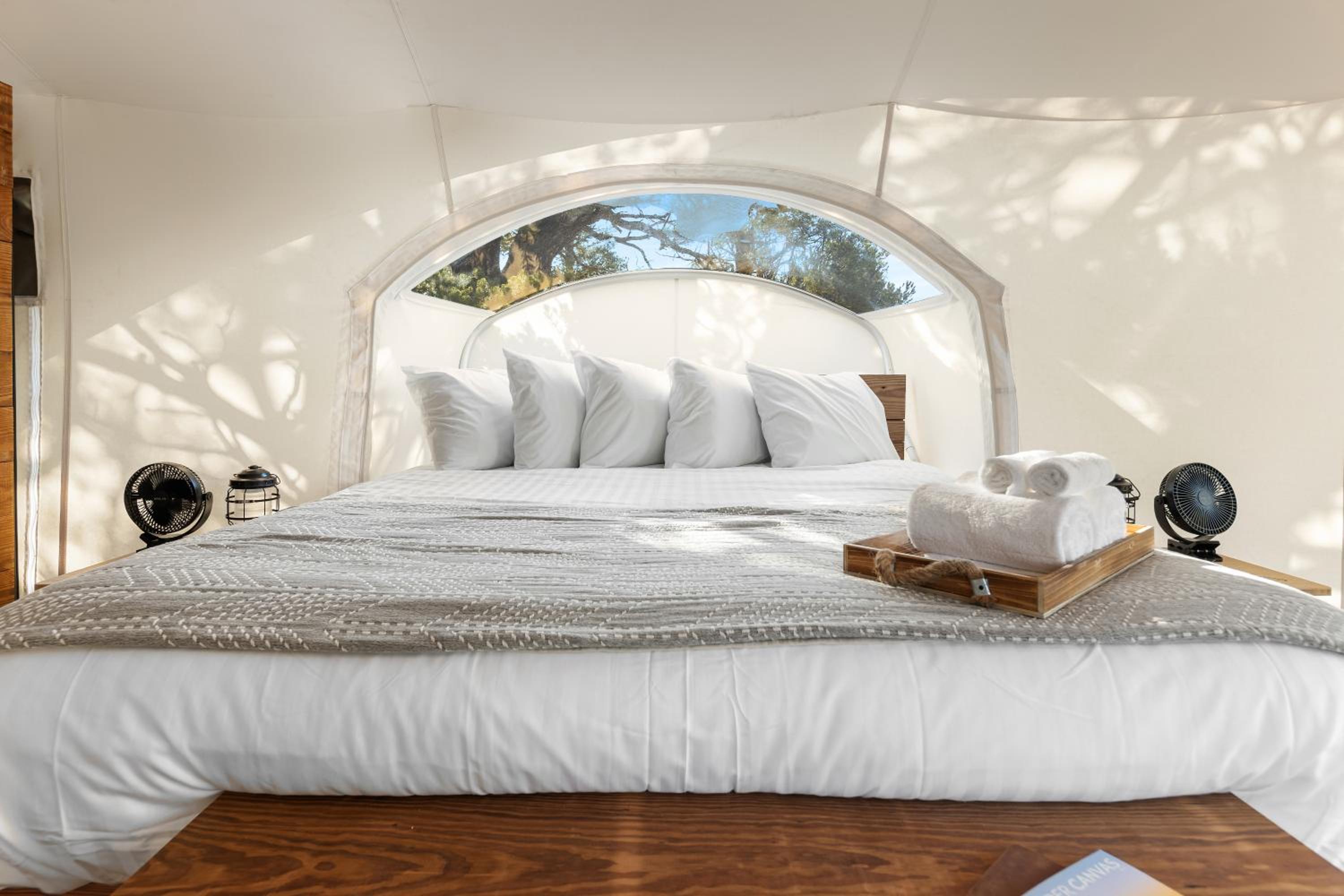 Stargazer Tent  photo 1