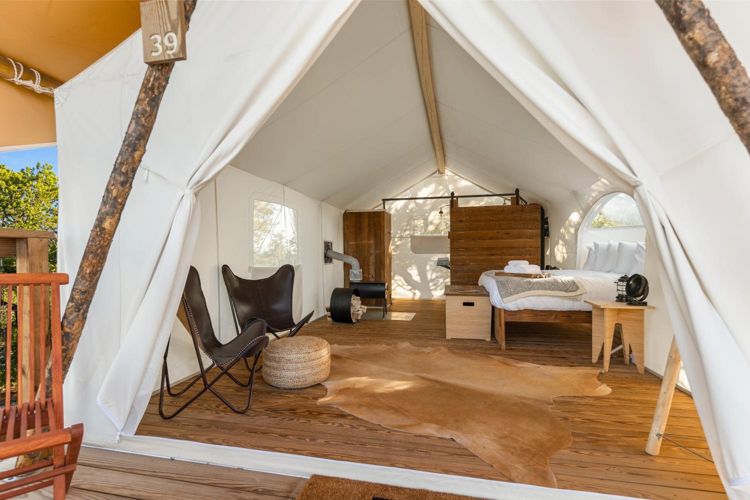 Stargazer with Kids Tent photo 2