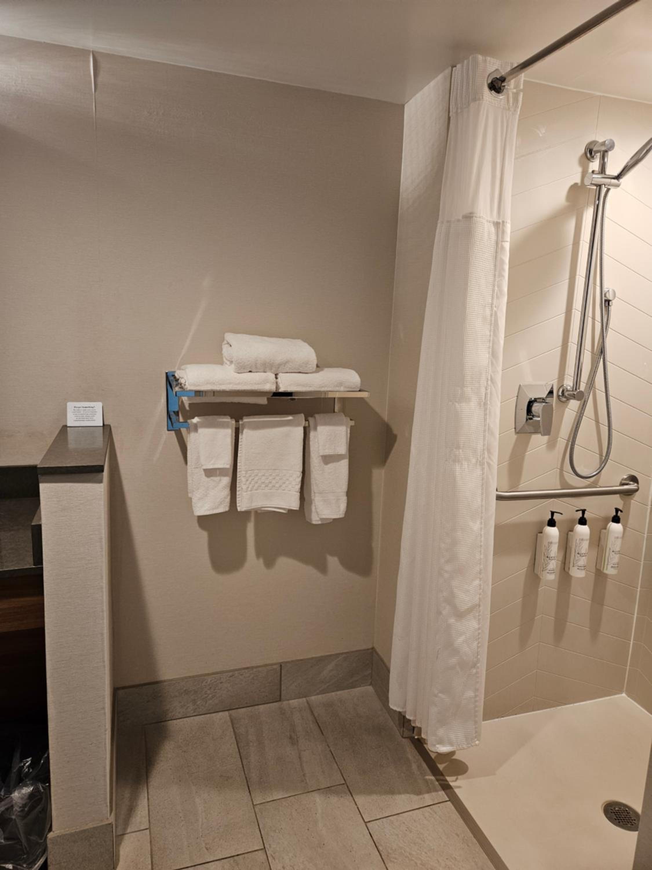 King Room with Roll-in Shower - Mobility and Hearing Accessible - Photo 3