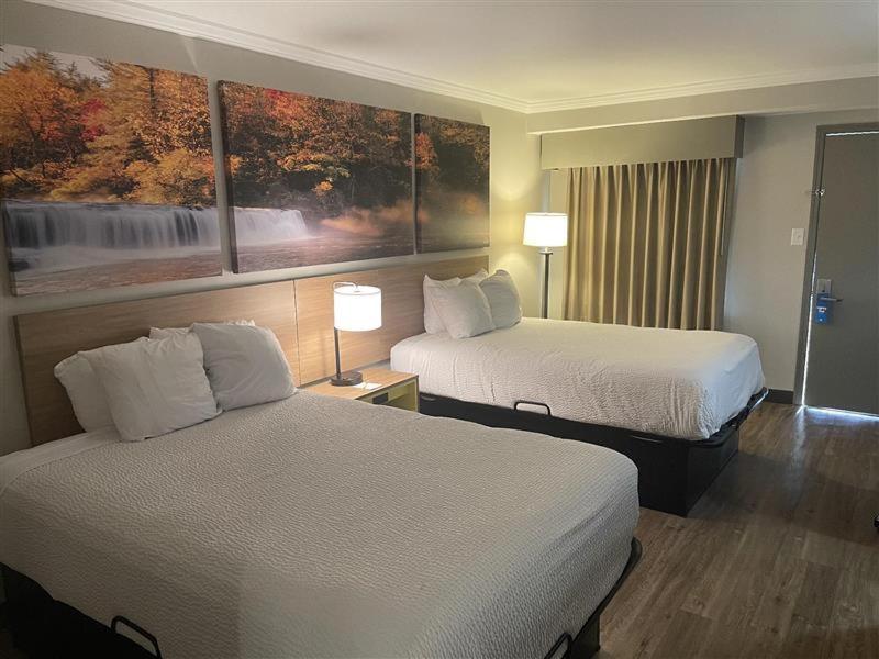 Deluxe Double Room with Two Double Beds - Non-Smoking - Photo 5