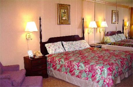 King Room - Photo 1