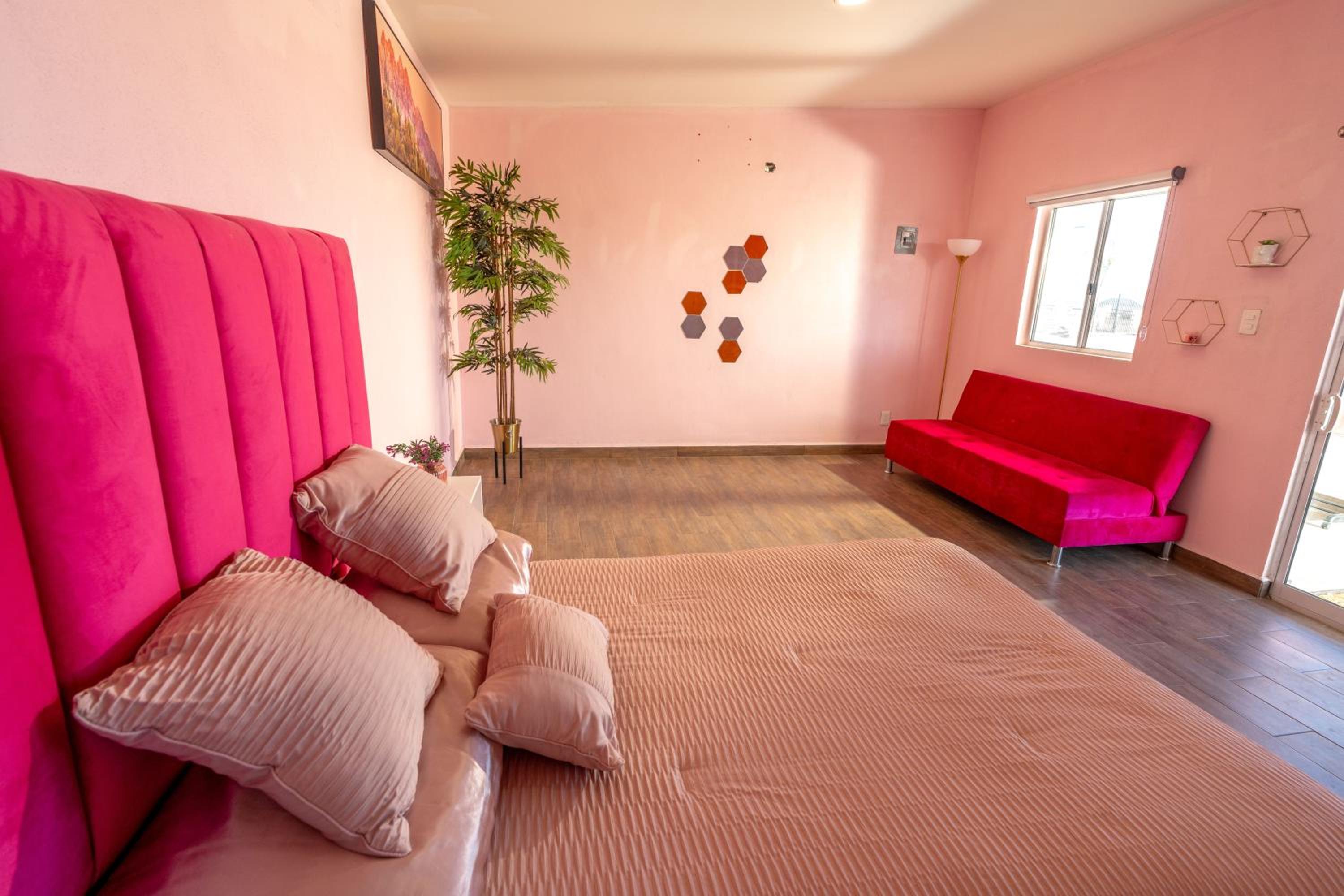 One-Bedroom House photo 3