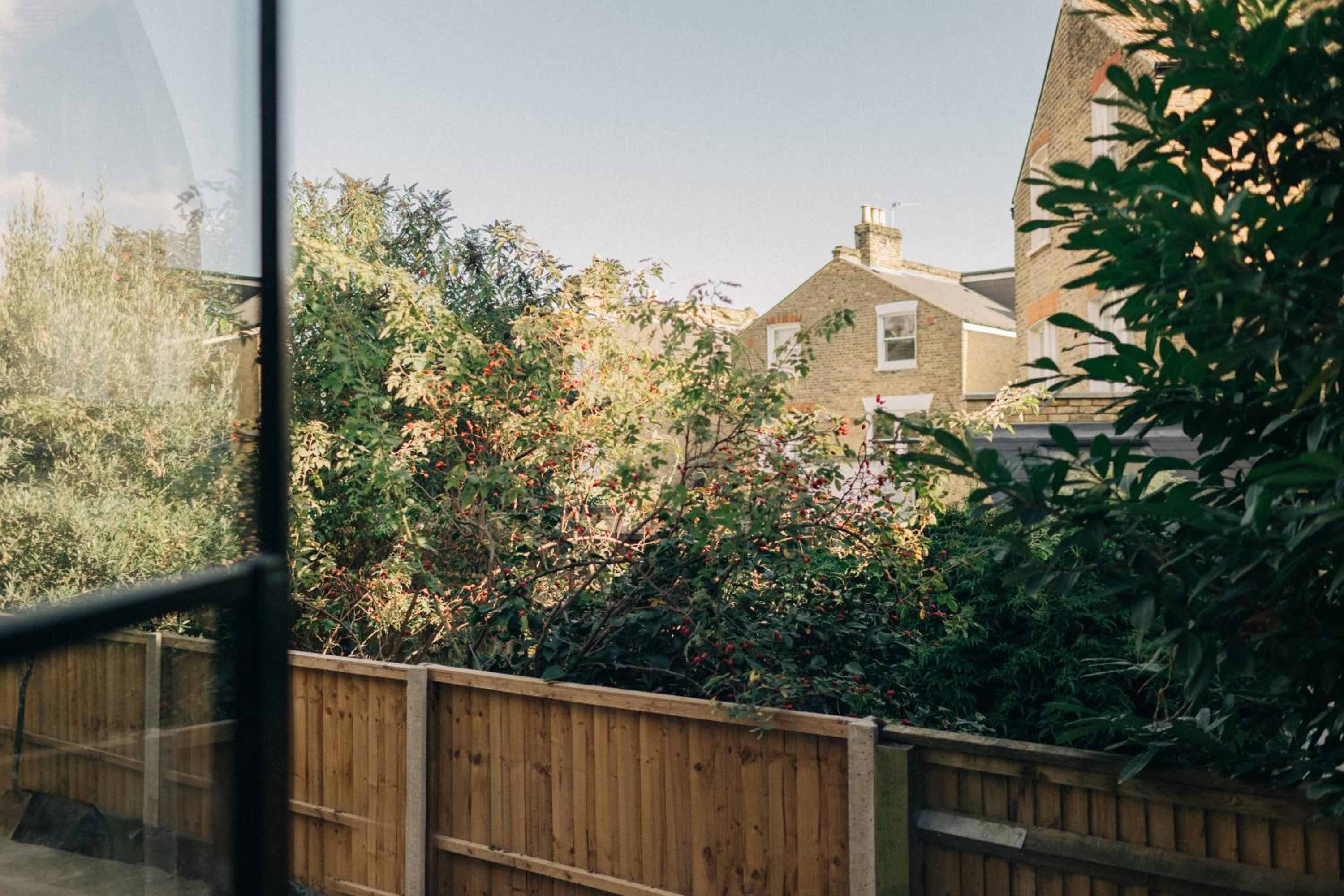 King Room with Garden View photo 3