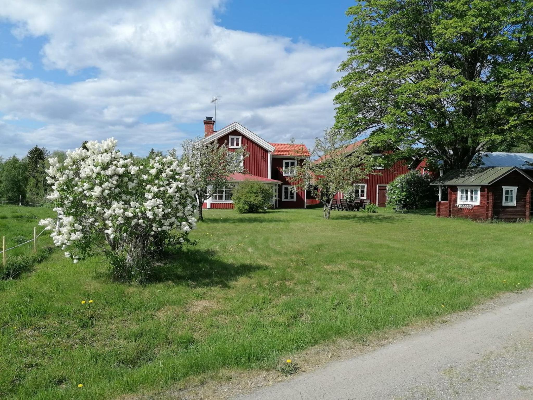Three-Bedroom House photo 1