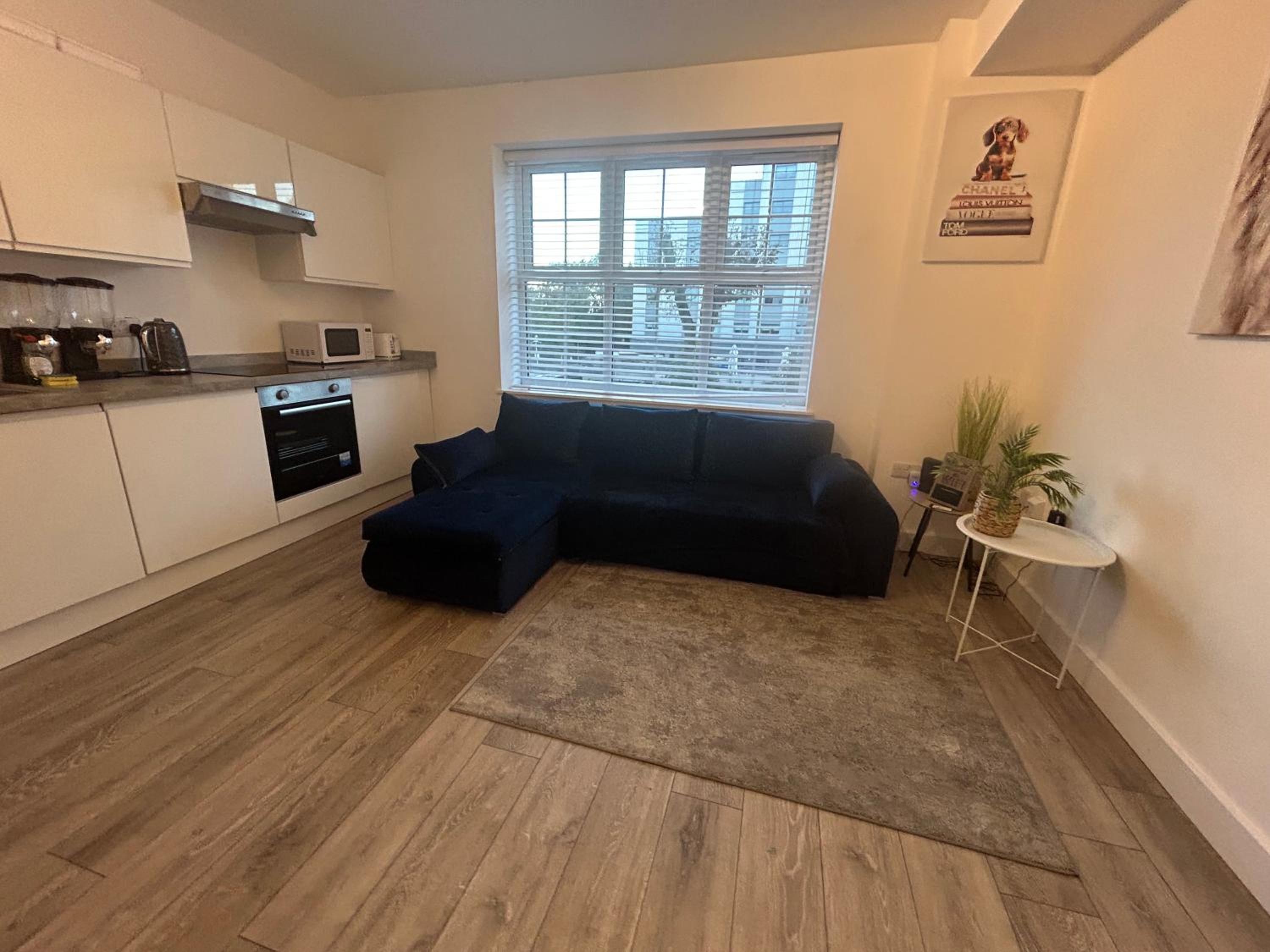 One-Bedroom Apartment photo 3