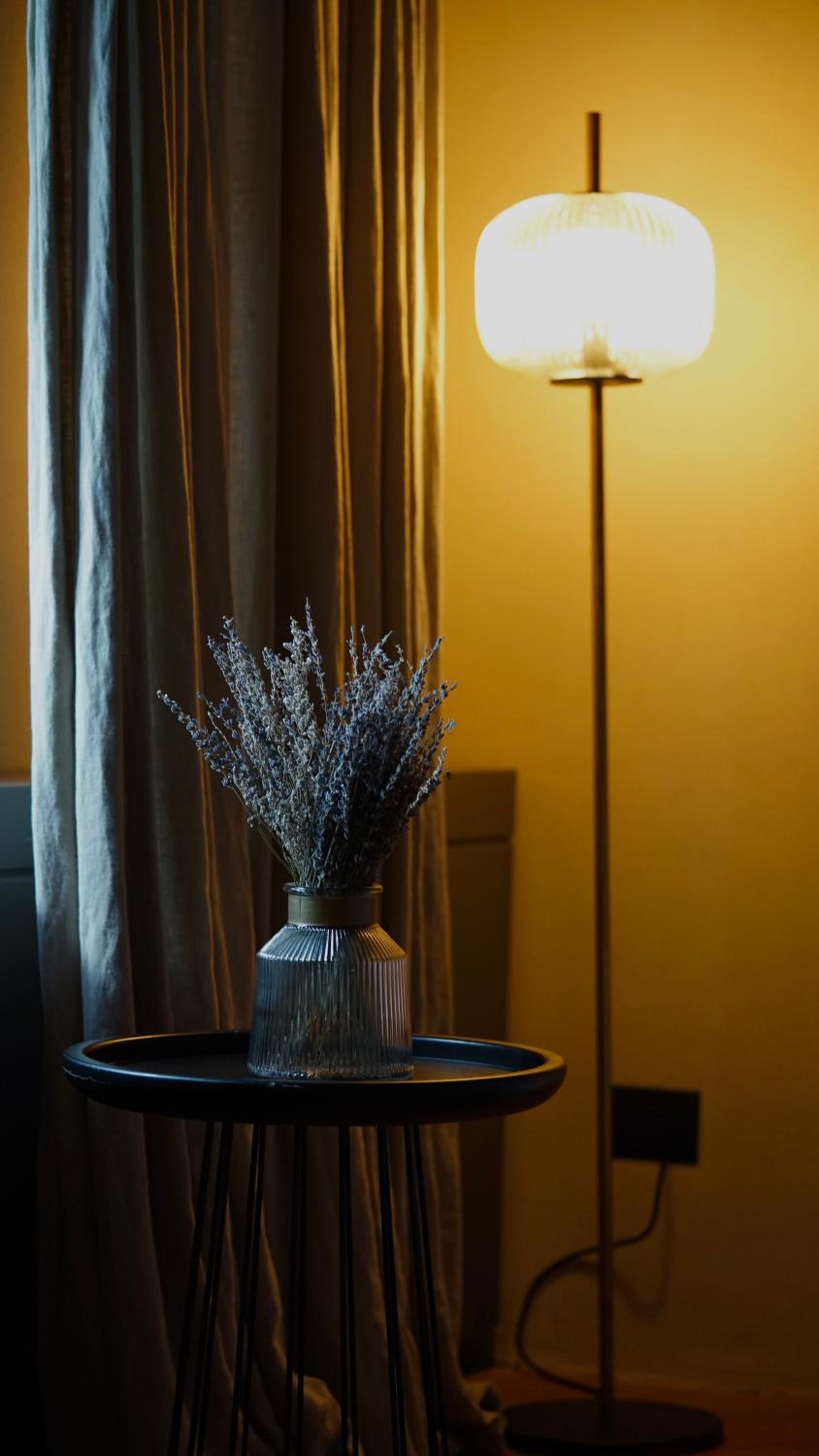 Suite - Photo 5