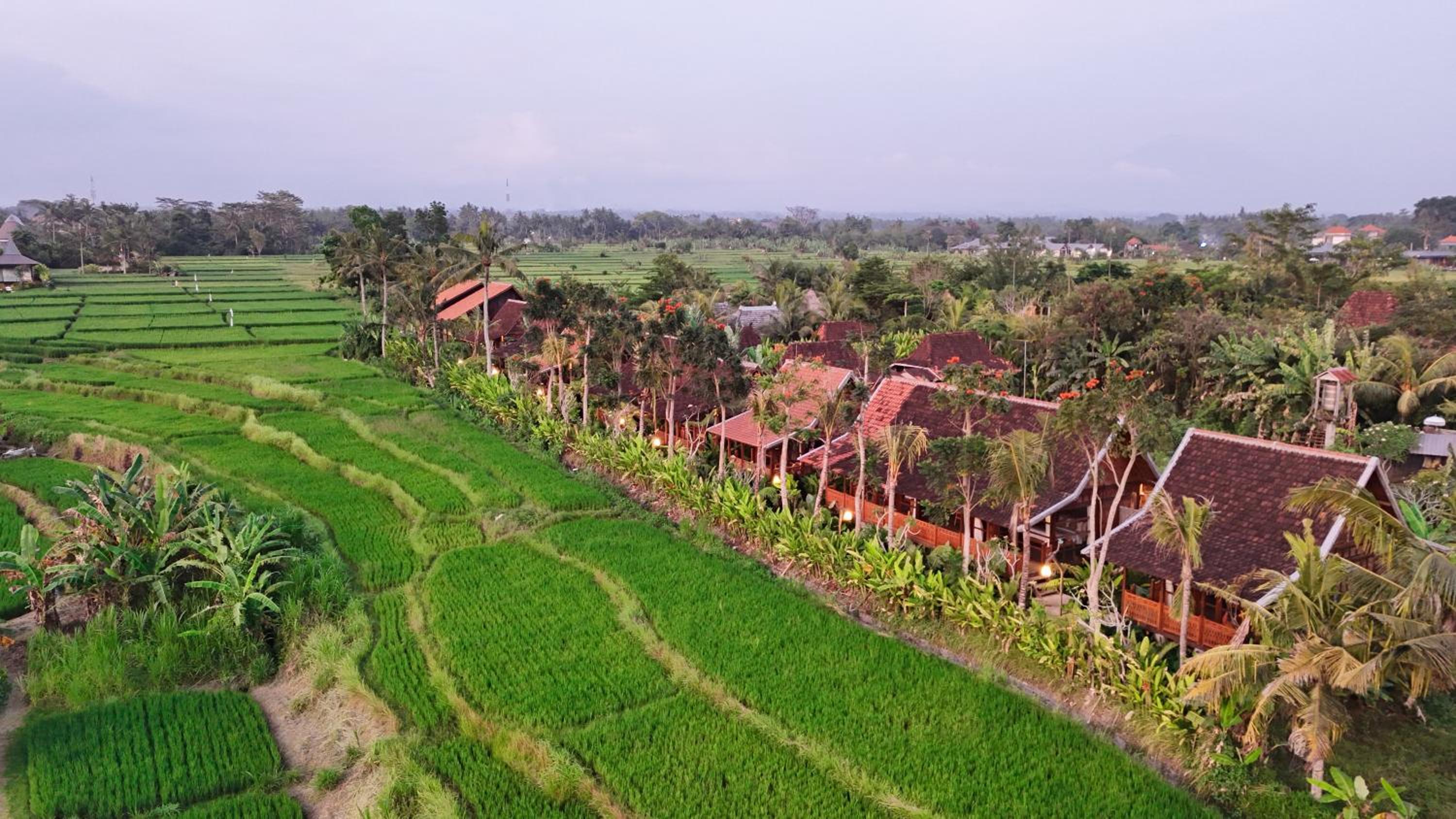 Wooden Deluxe With Rice Field View  - Photo 17