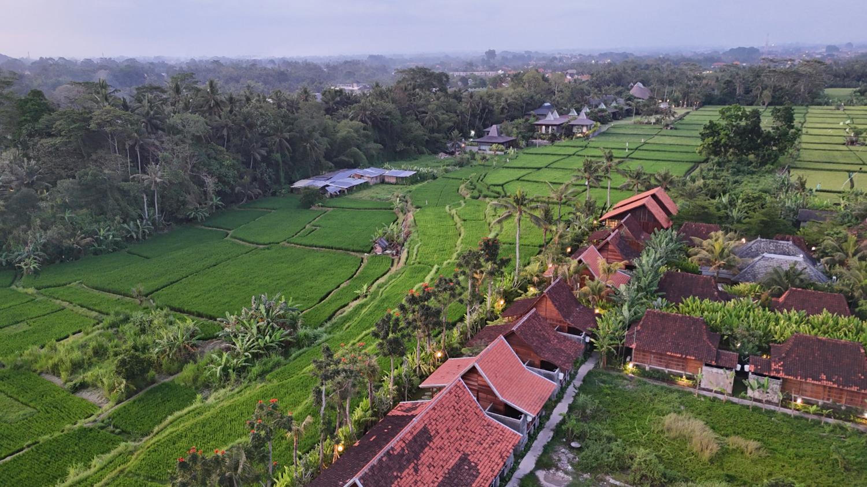 Wooden Deluxe With Rice Field View  - Photo 18