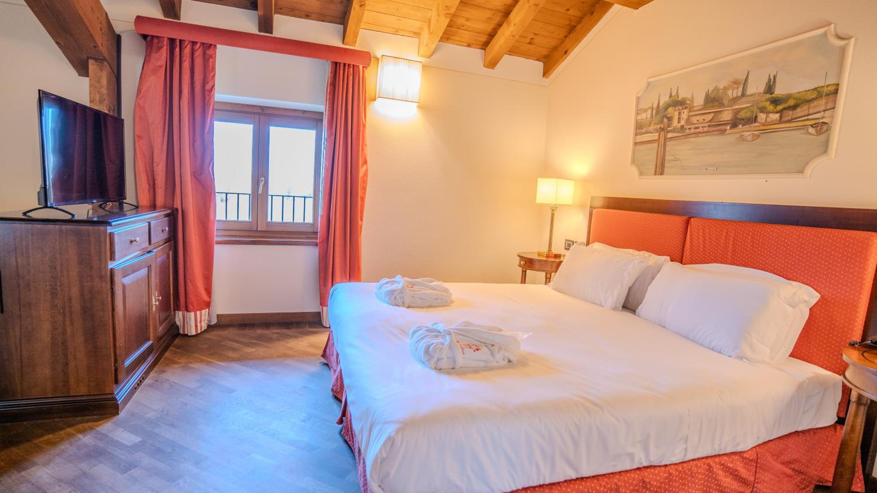 Deluxe Double or Twin Room photo 1