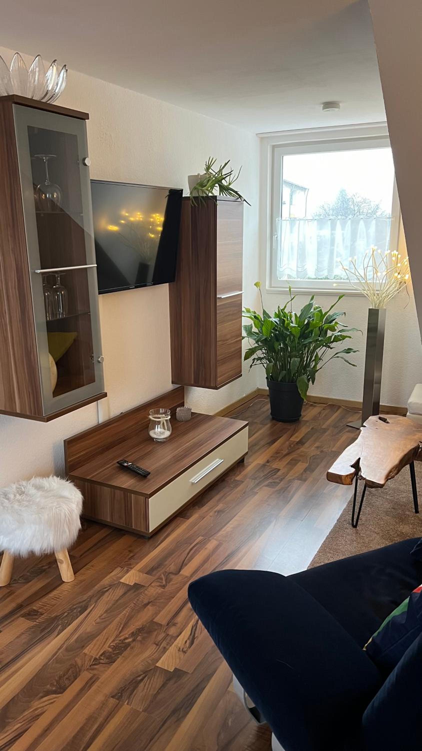 One-Bedroom Apartment photo 3