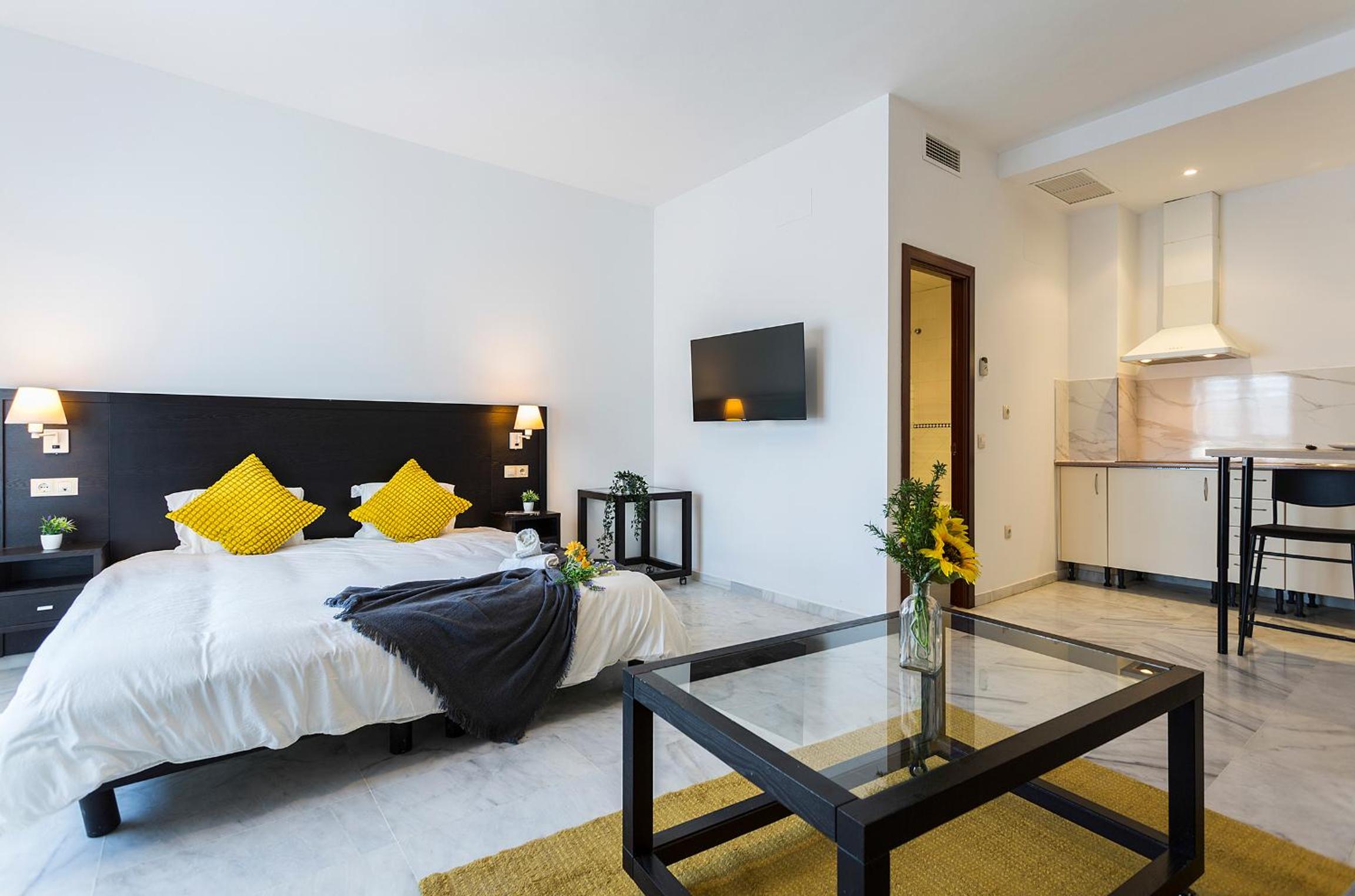 Studio Apartment photo 3