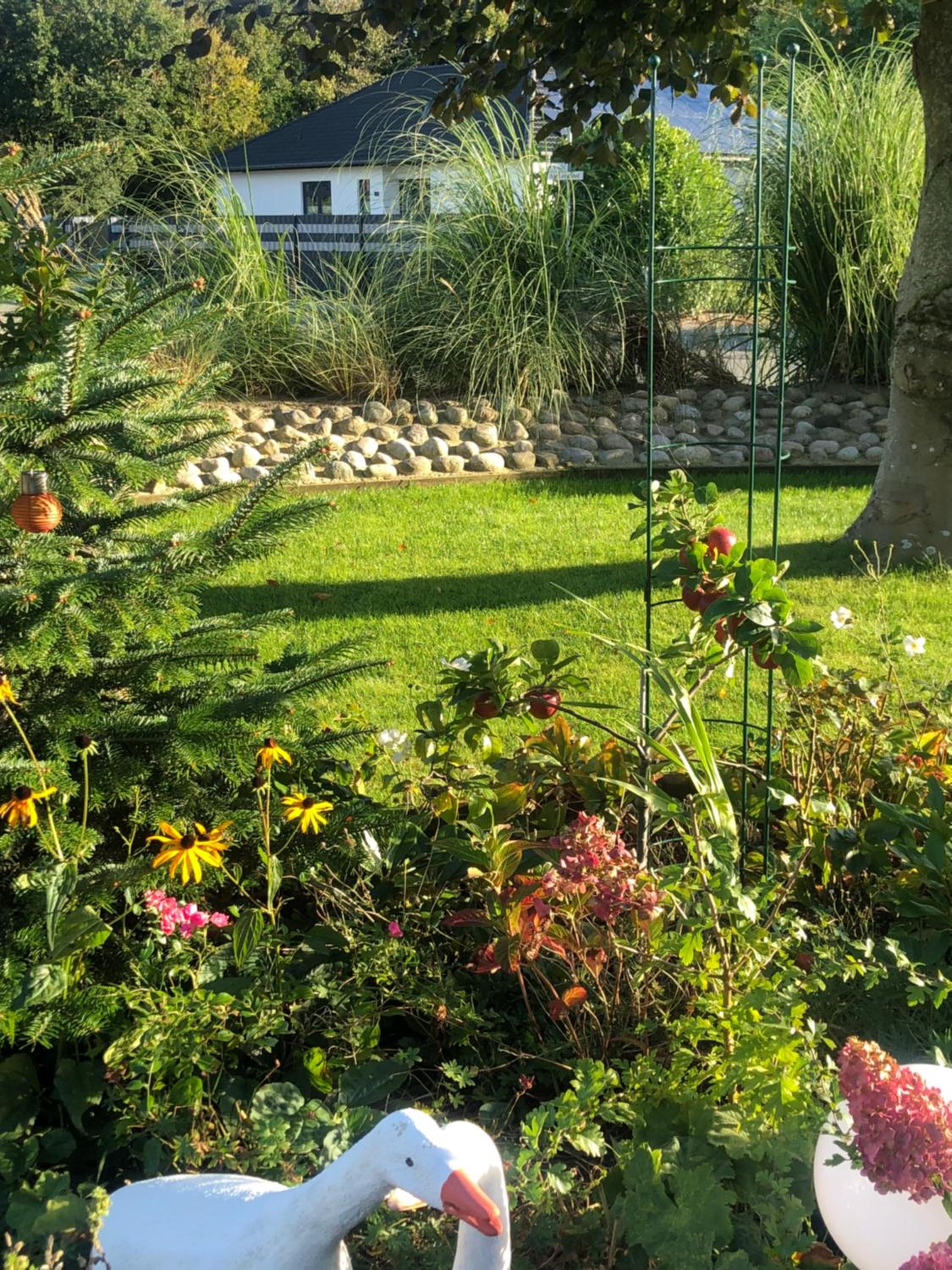 One-Bedroom Apartment with Garden photo 3