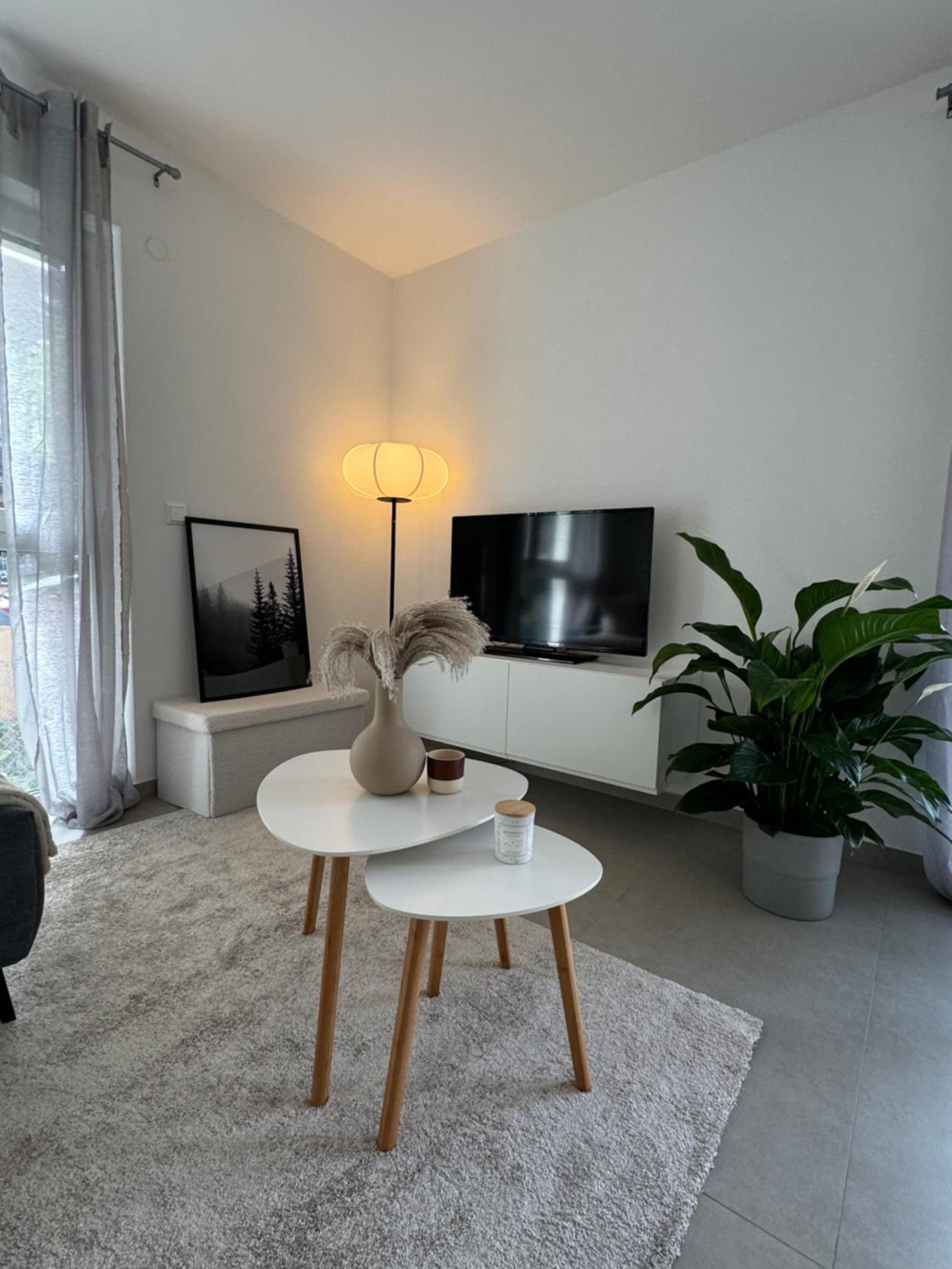 One-Bedroom Apartment photo 3
