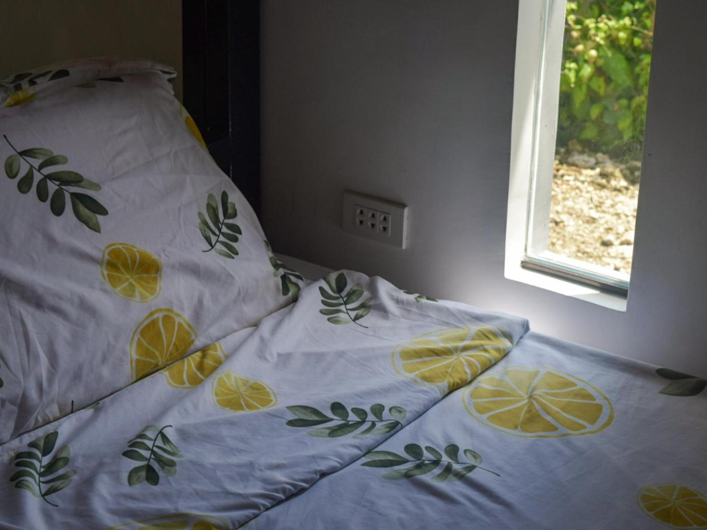 Bunk Bed in Mixed Dormitory Room photo 1