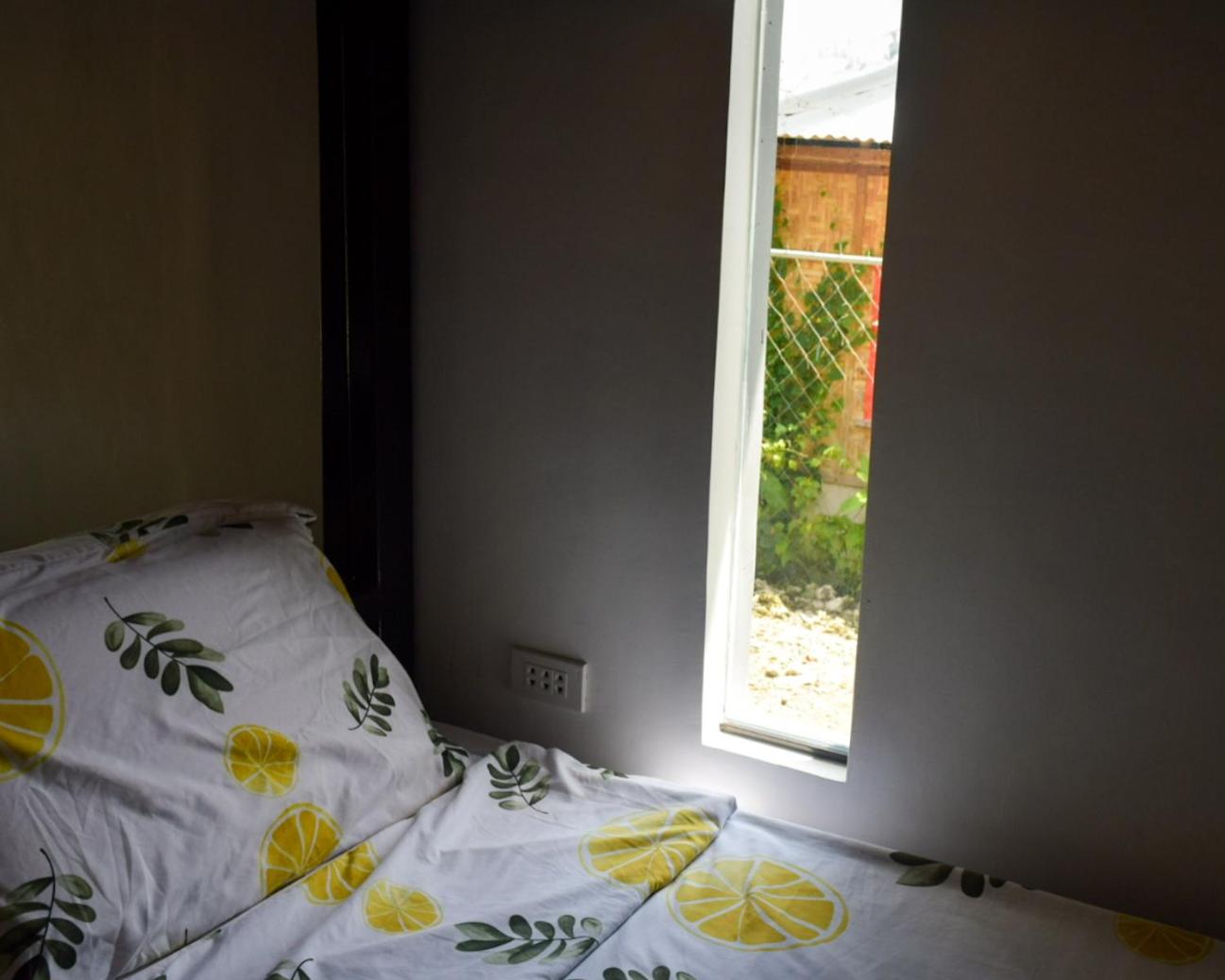 Bunk Bed in Mixed Dormitory Room photo 3