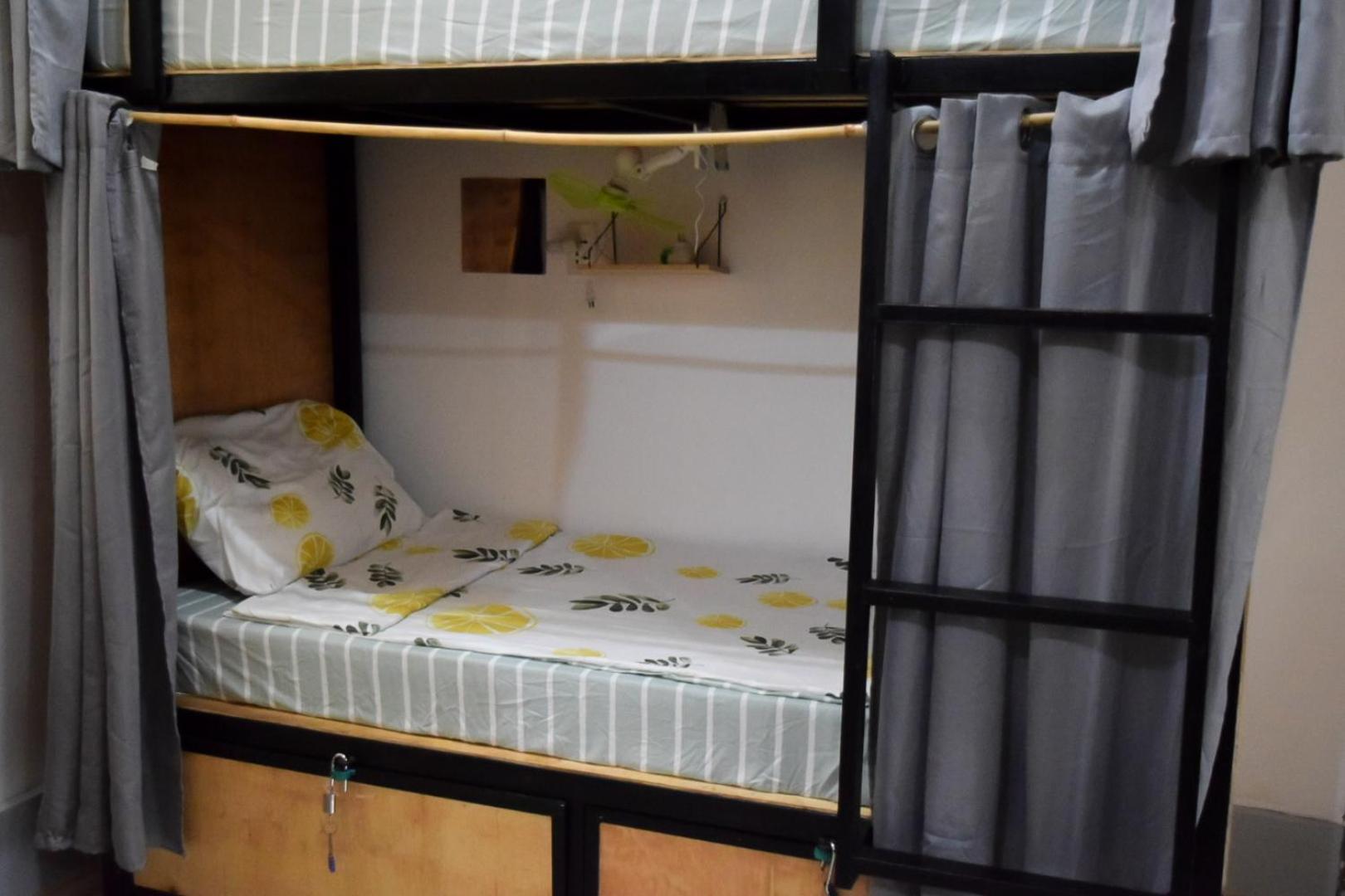 Bunk Bed in Mixed Dormitory Room photo 1