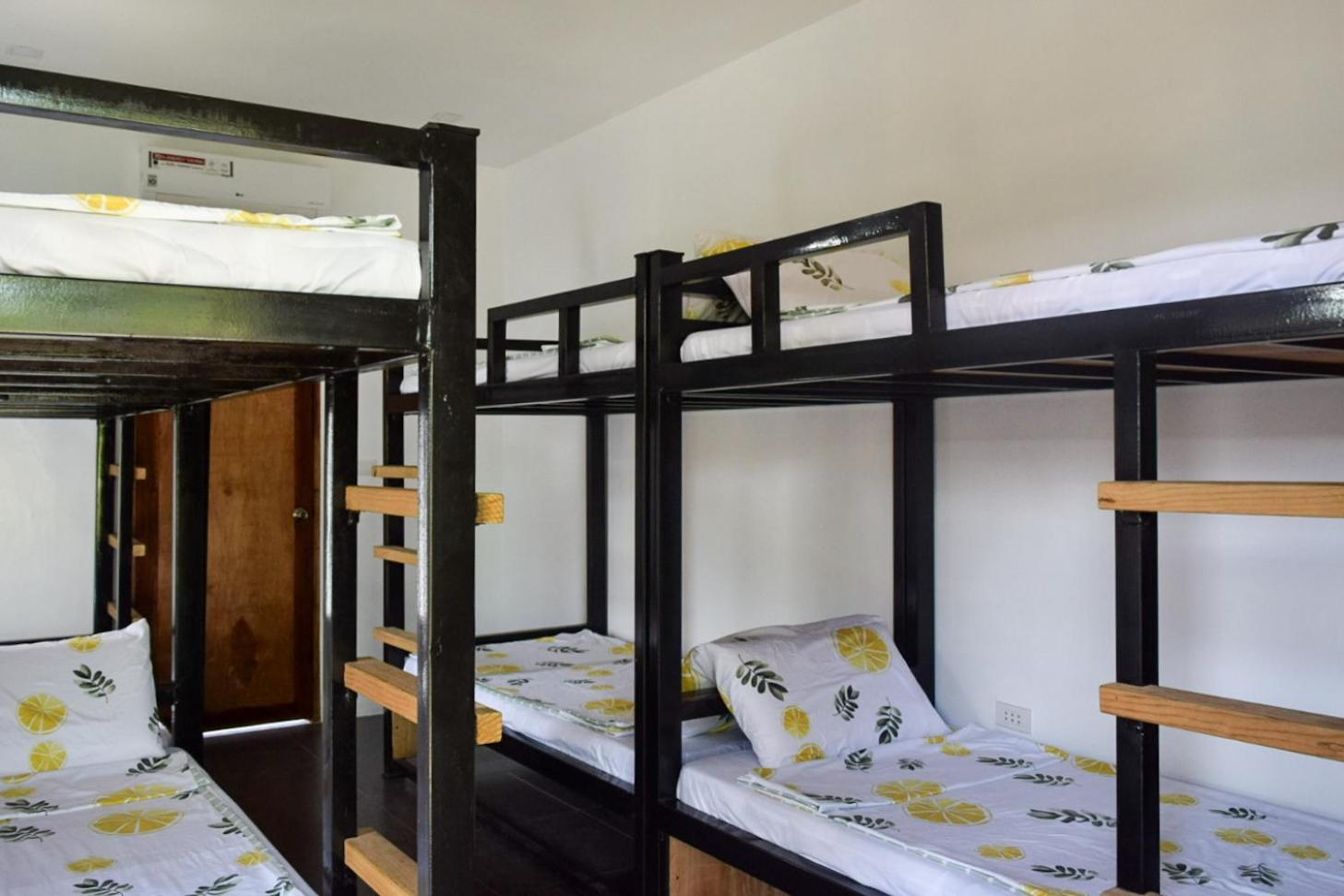 Bunk Bed in Mixed Dormitory Room photo 2