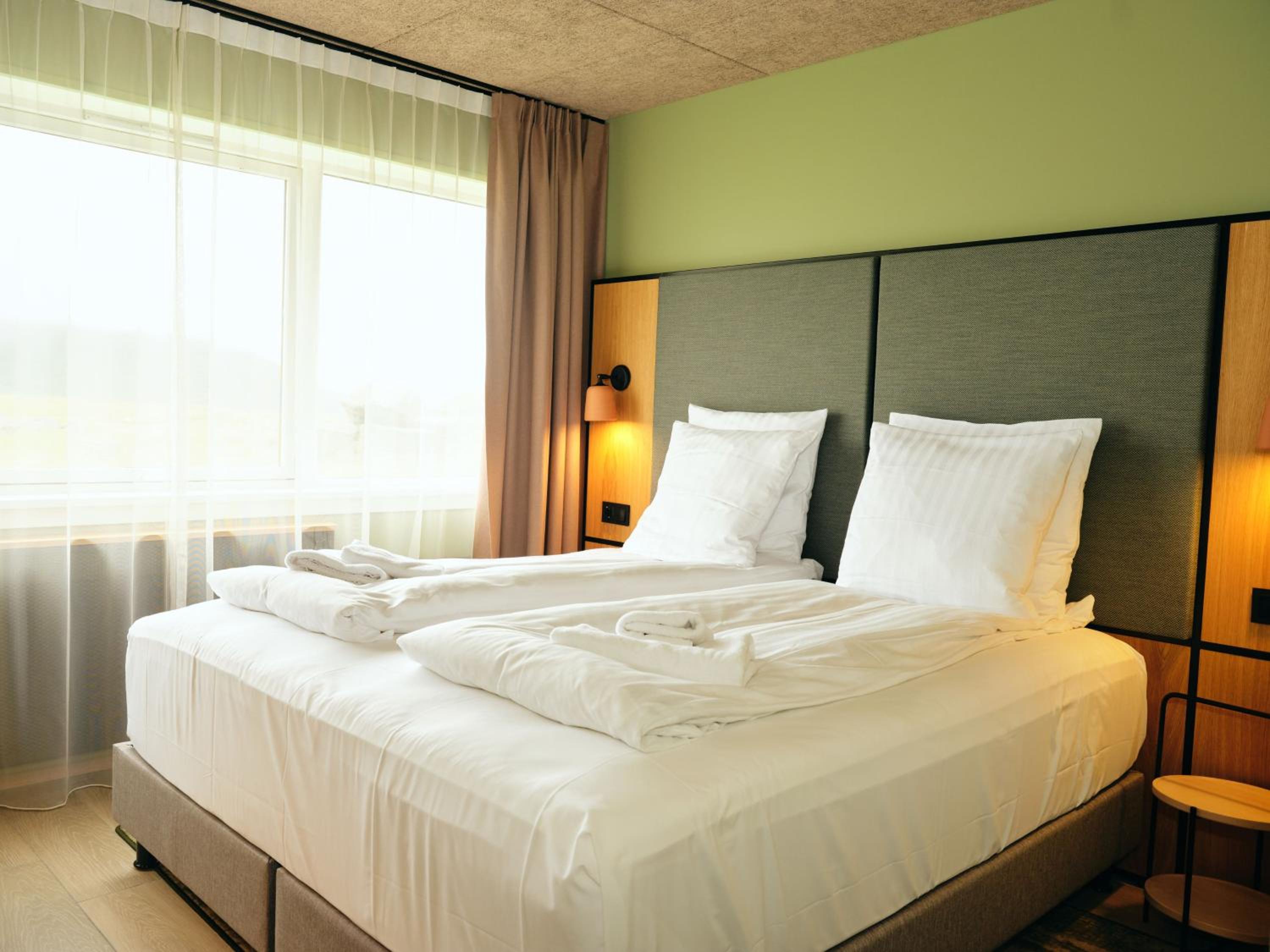 Double or Twin Room with Mountain View