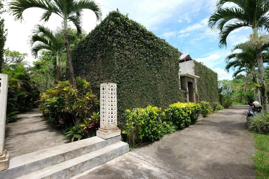 One-Bedroom Villa - Photo 22