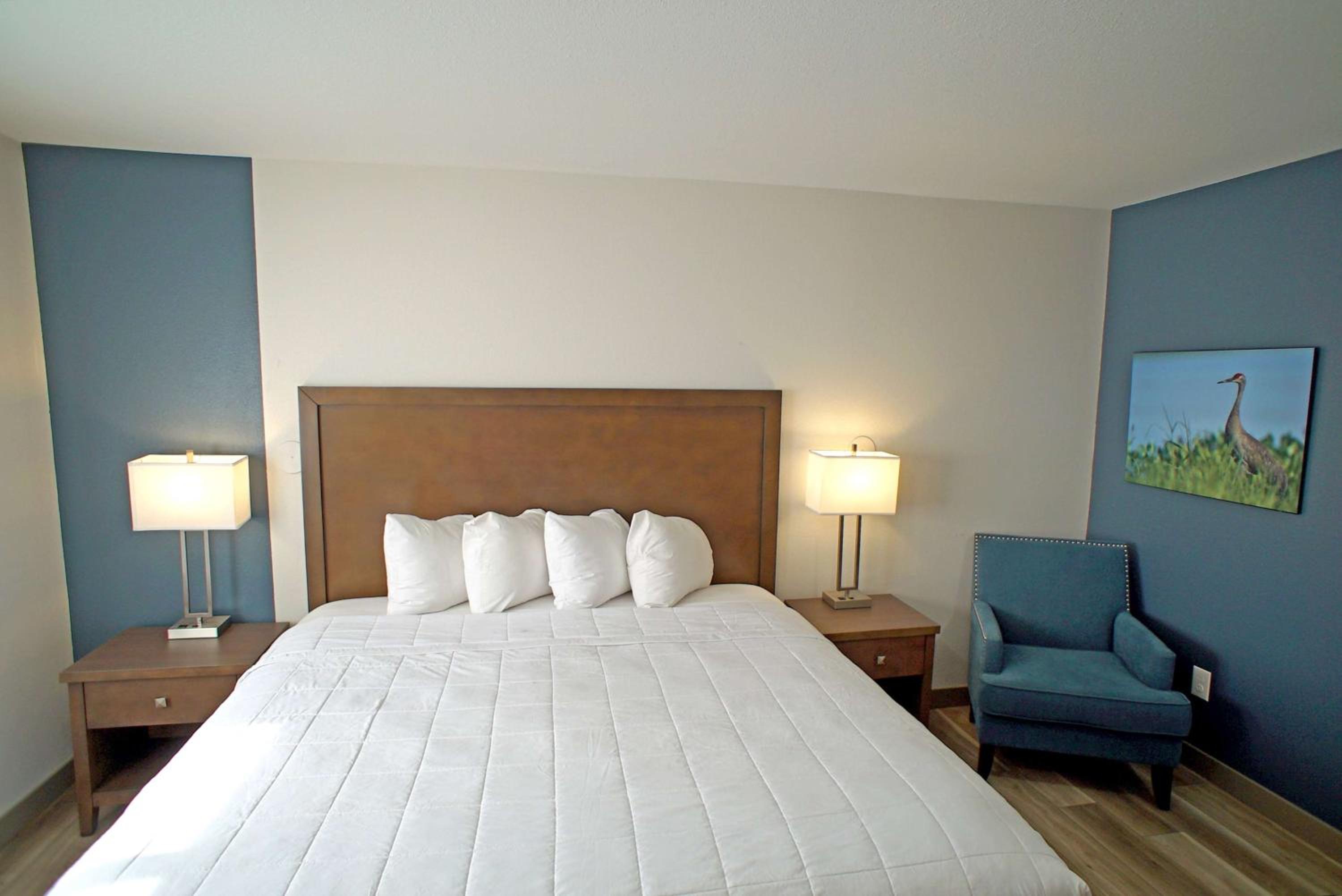 King Room with Roll-in Shower - Mobility Access/Non-Smoking - Photo 3