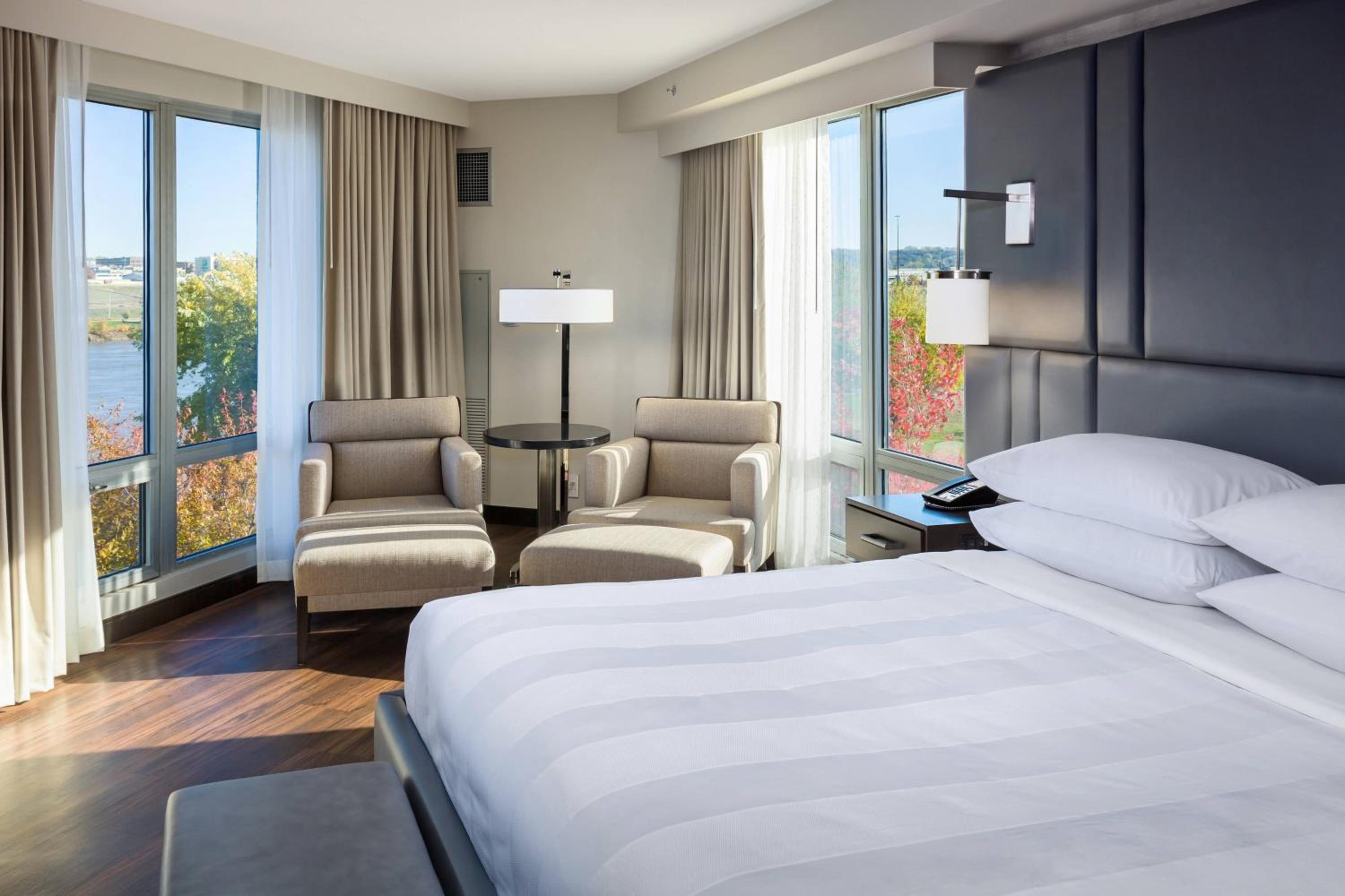 Presidential King Suite with River View photo 1