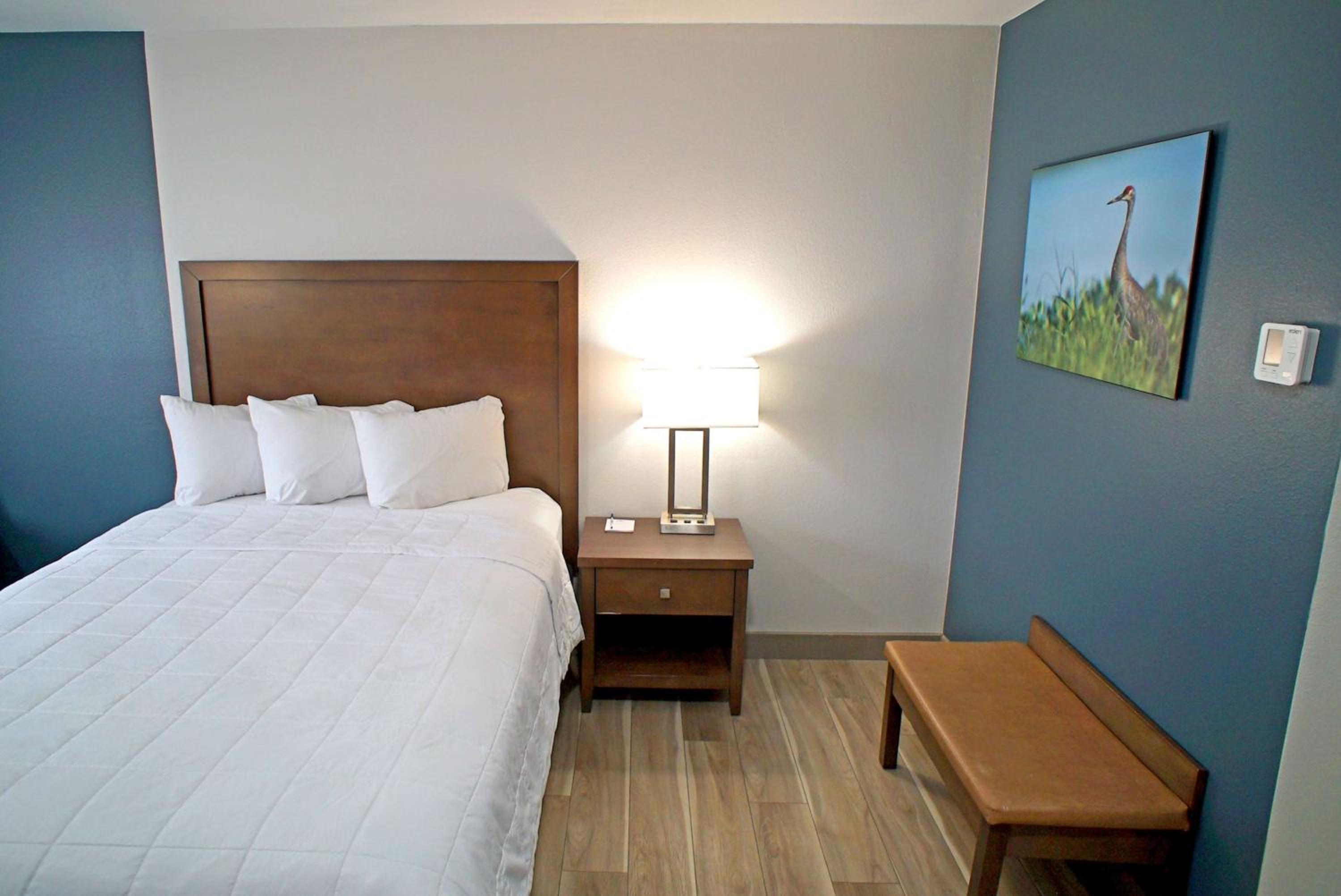 King Room with Roll-in Shower - Mobility Access/Non-Smoking - Photo 4